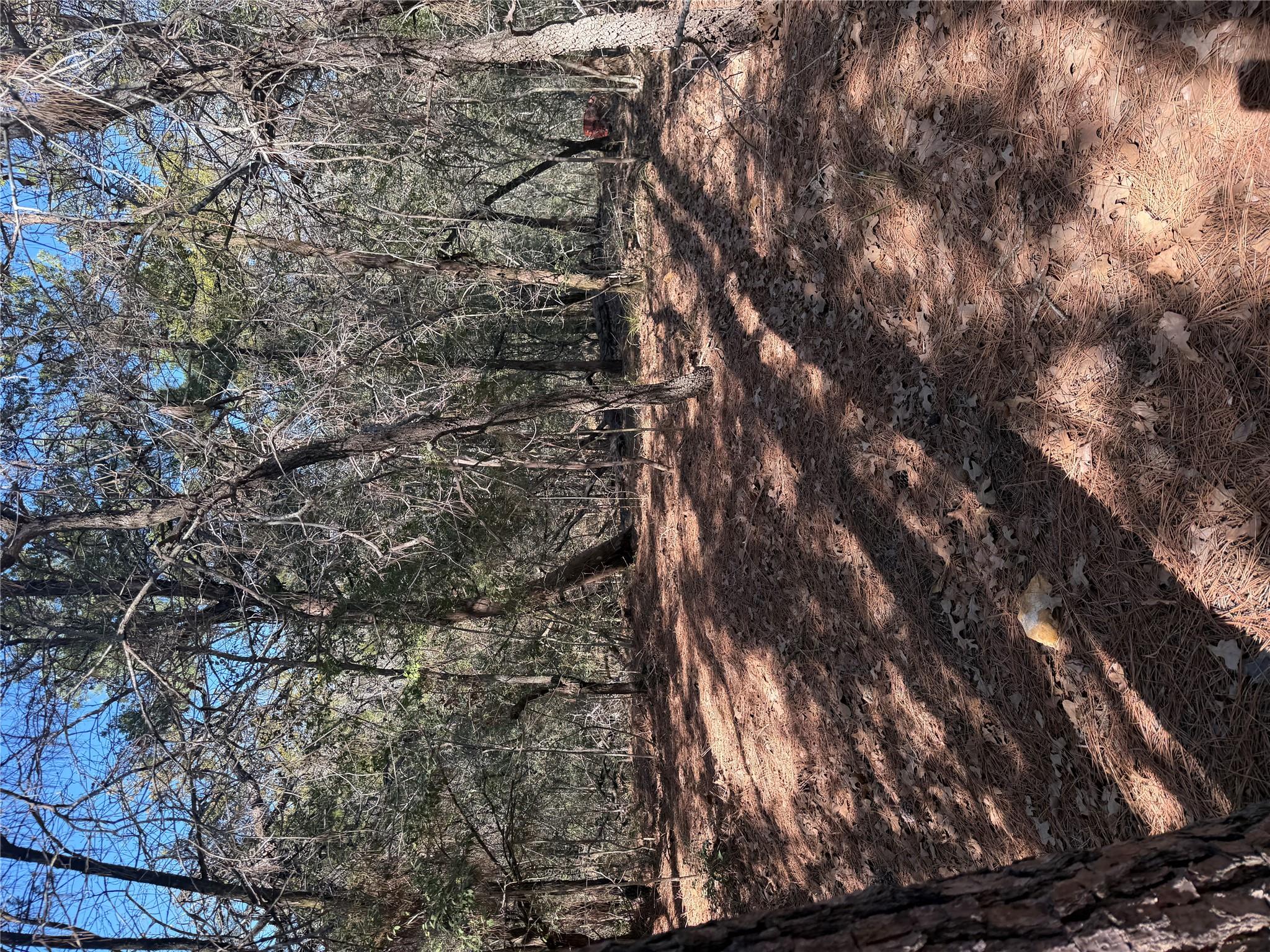 Lot 320 Keneka Ln, Bastrop, TX 78602