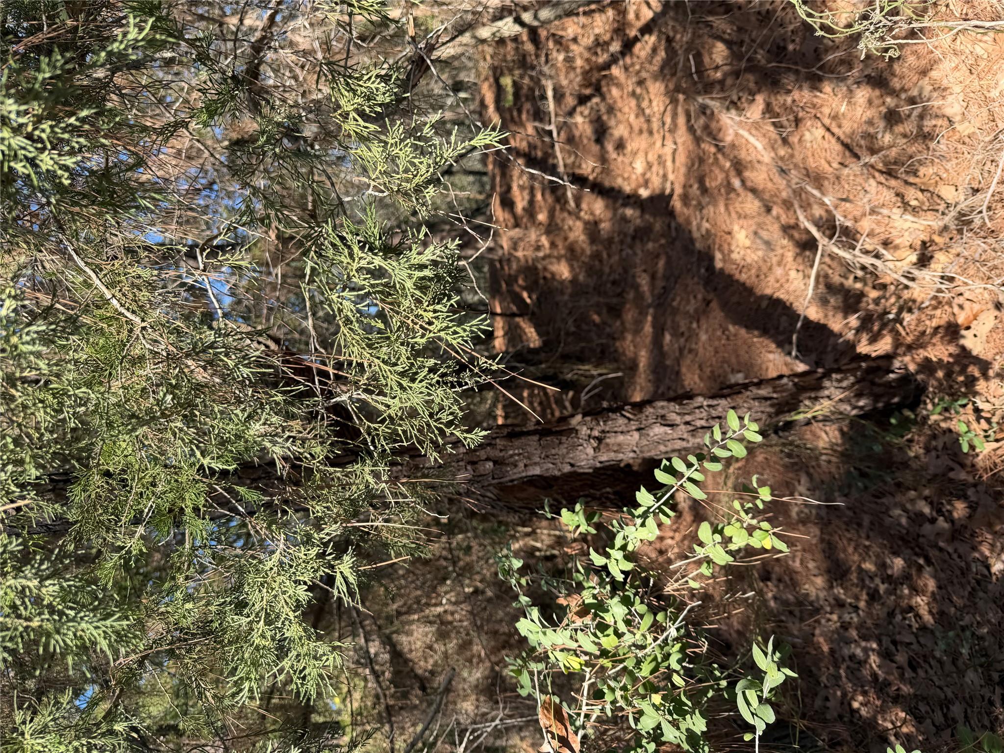 Lot 320 Keneka Ln, Bastrop, TX 78602