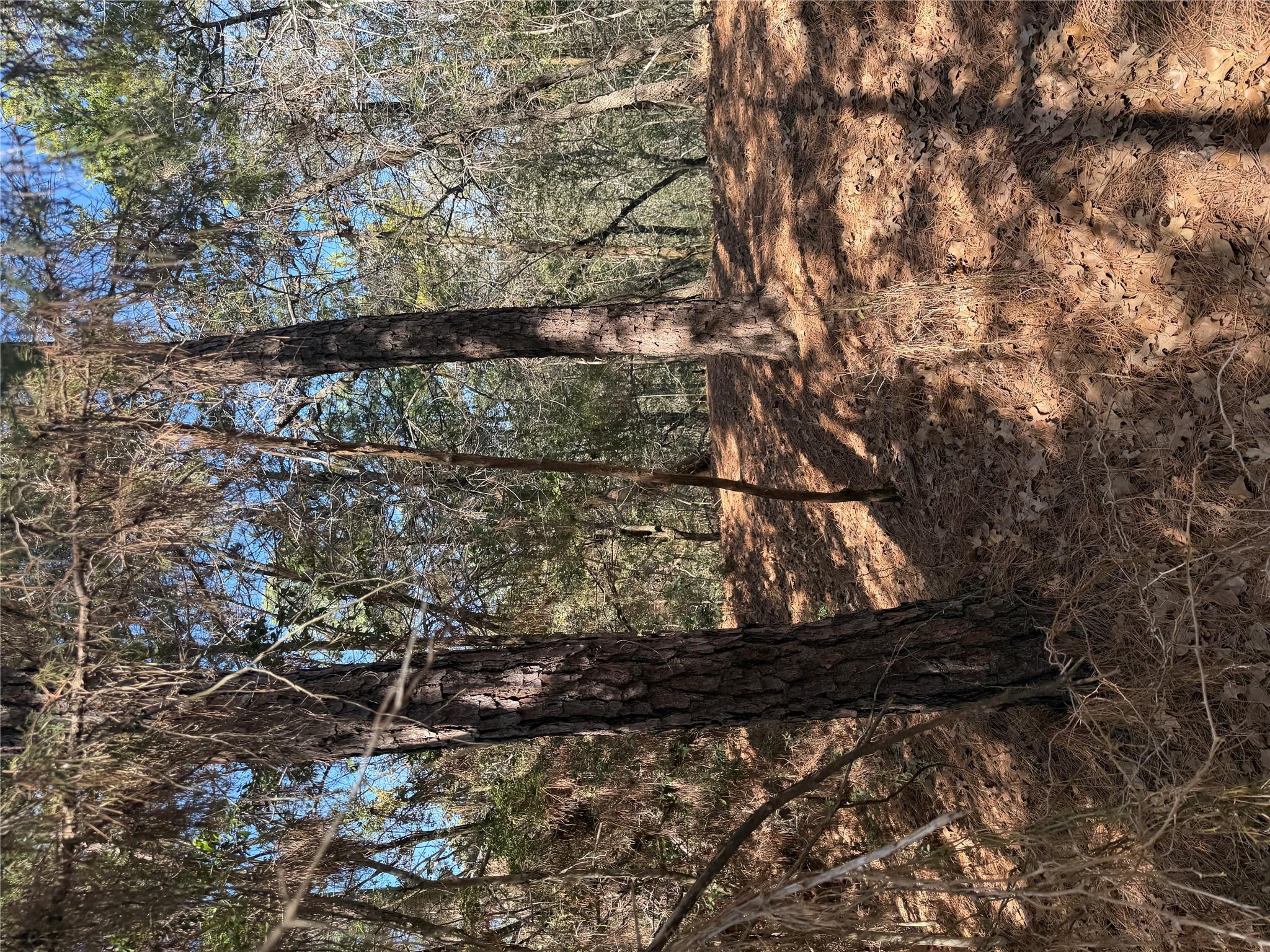 Lot 320 Keneka Ln, Bastrop, TX 78602