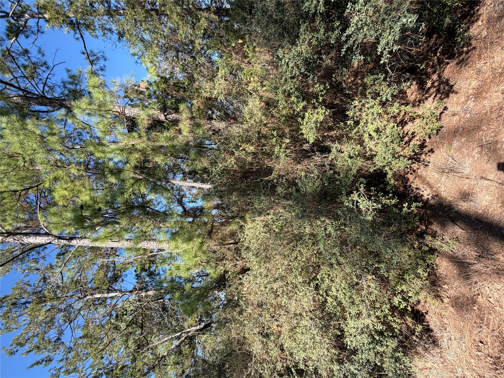 Lot 320 Keneka Ln, Bastrop, TX 78602