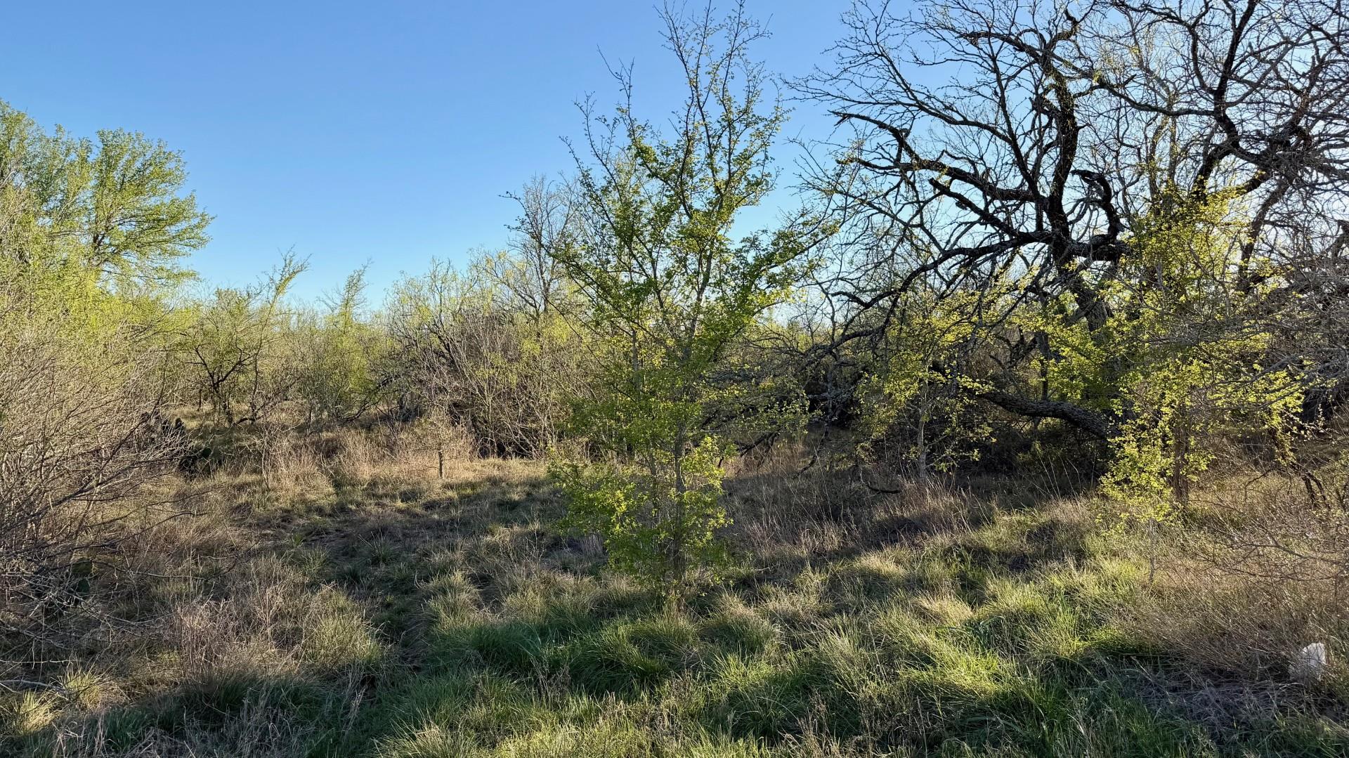 14 Spanish Oaks Blvd, Lockhart, TX 78644