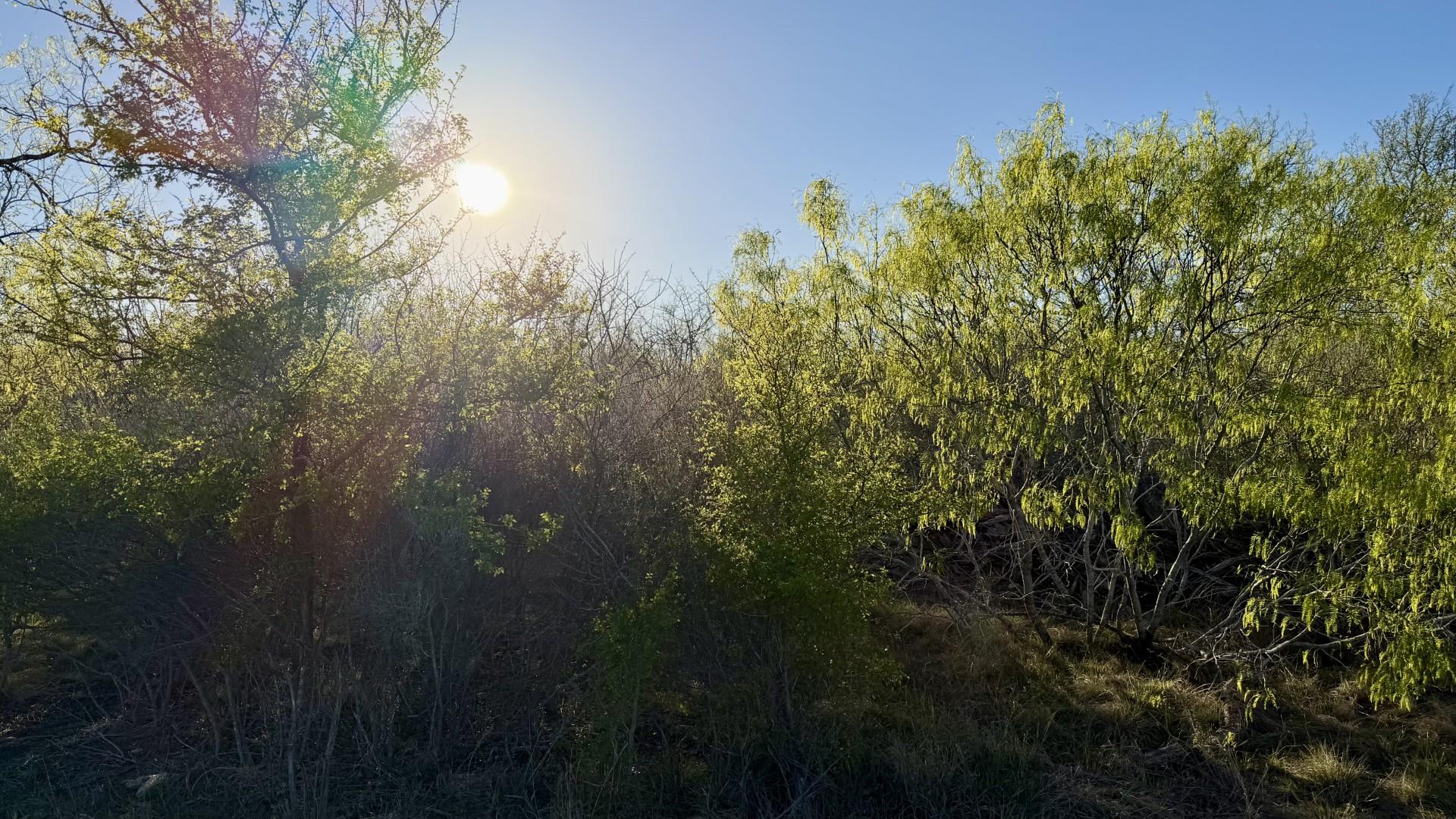 1250 Spanish Oaks Blvd, Lockhart, TX 78644