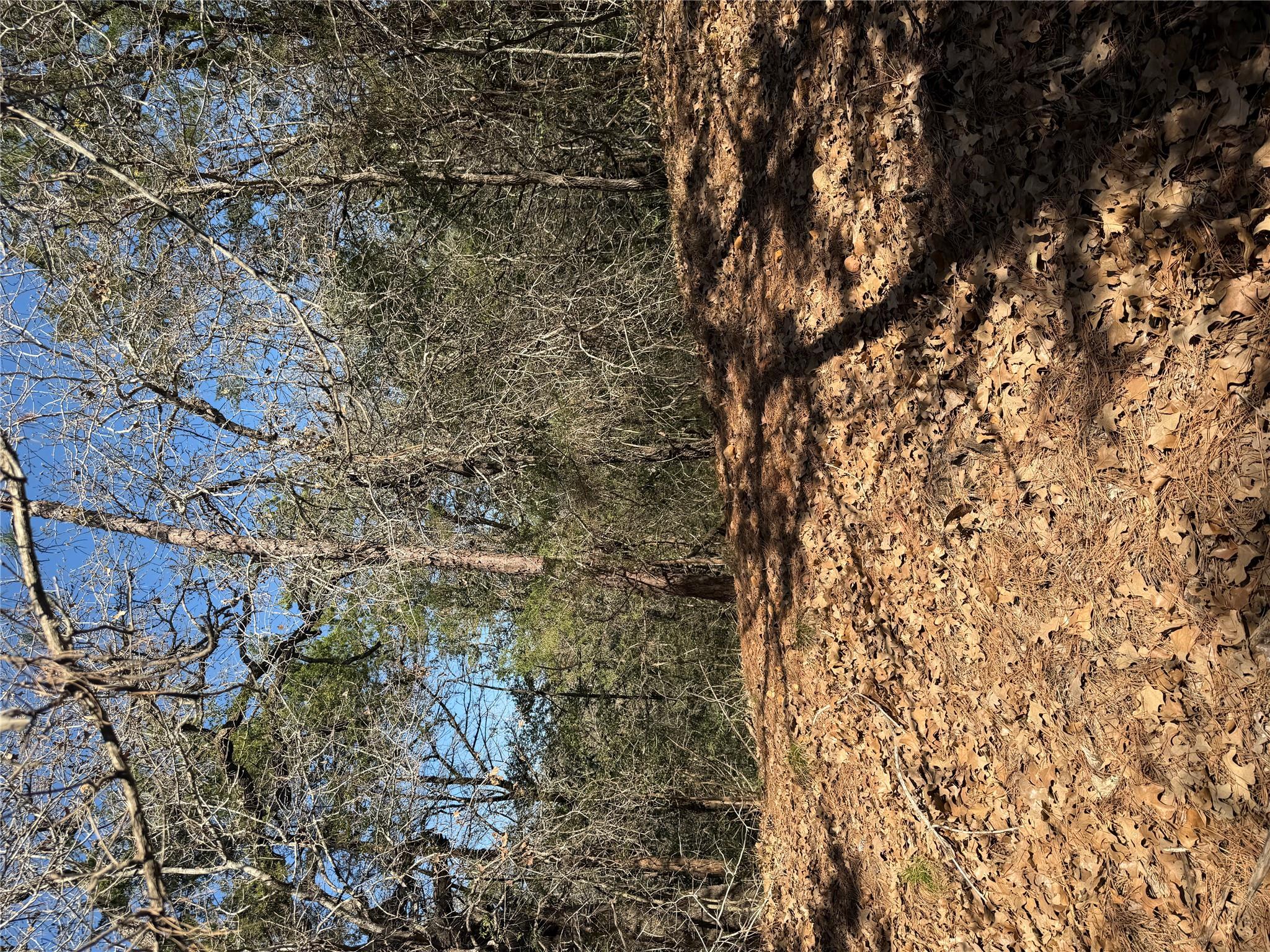 Lot 321 Keneka Ln, Bastrop, TX 78602