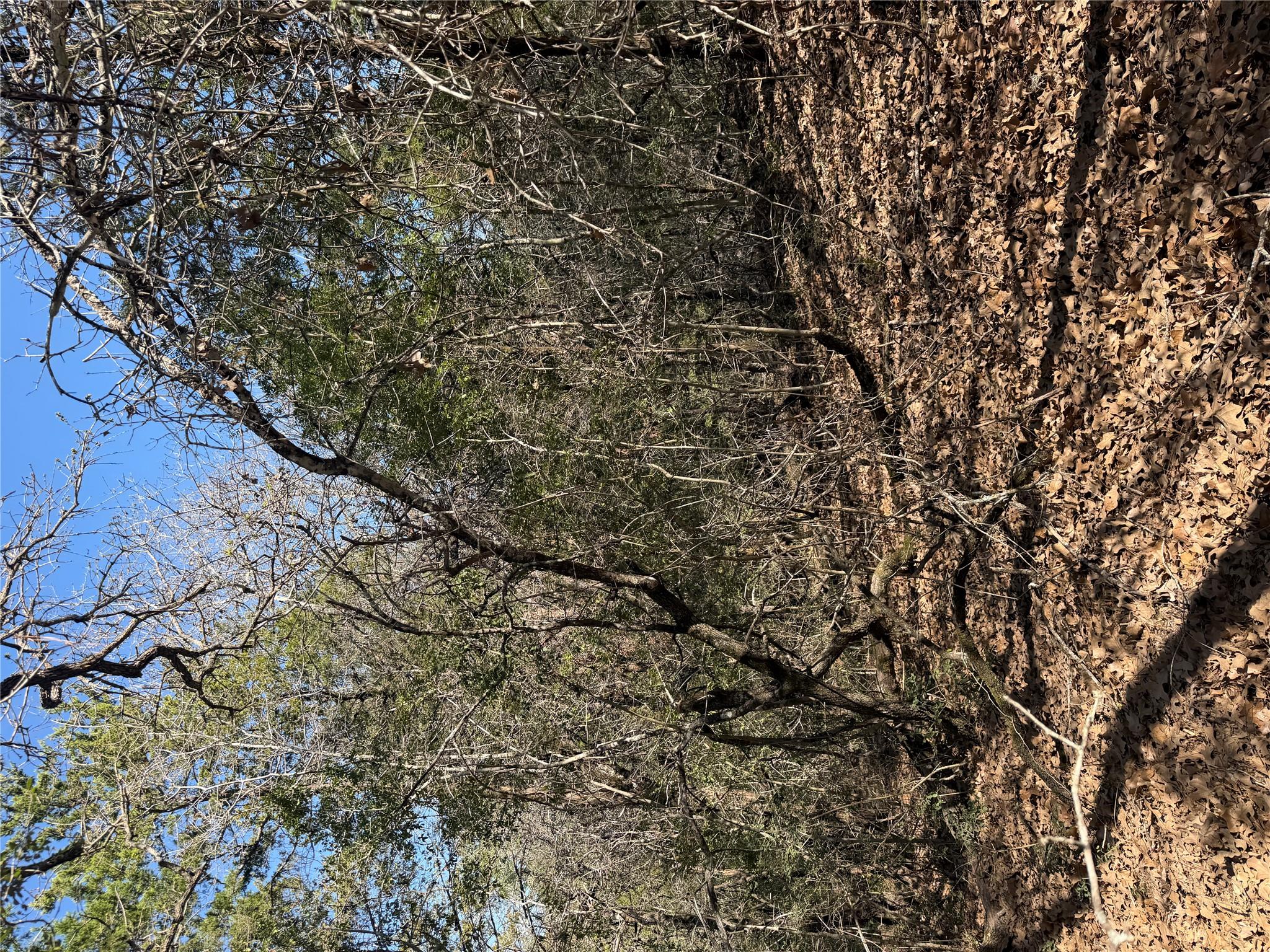 Lot 321 Keneka Ln, Bastrop, TX 78602