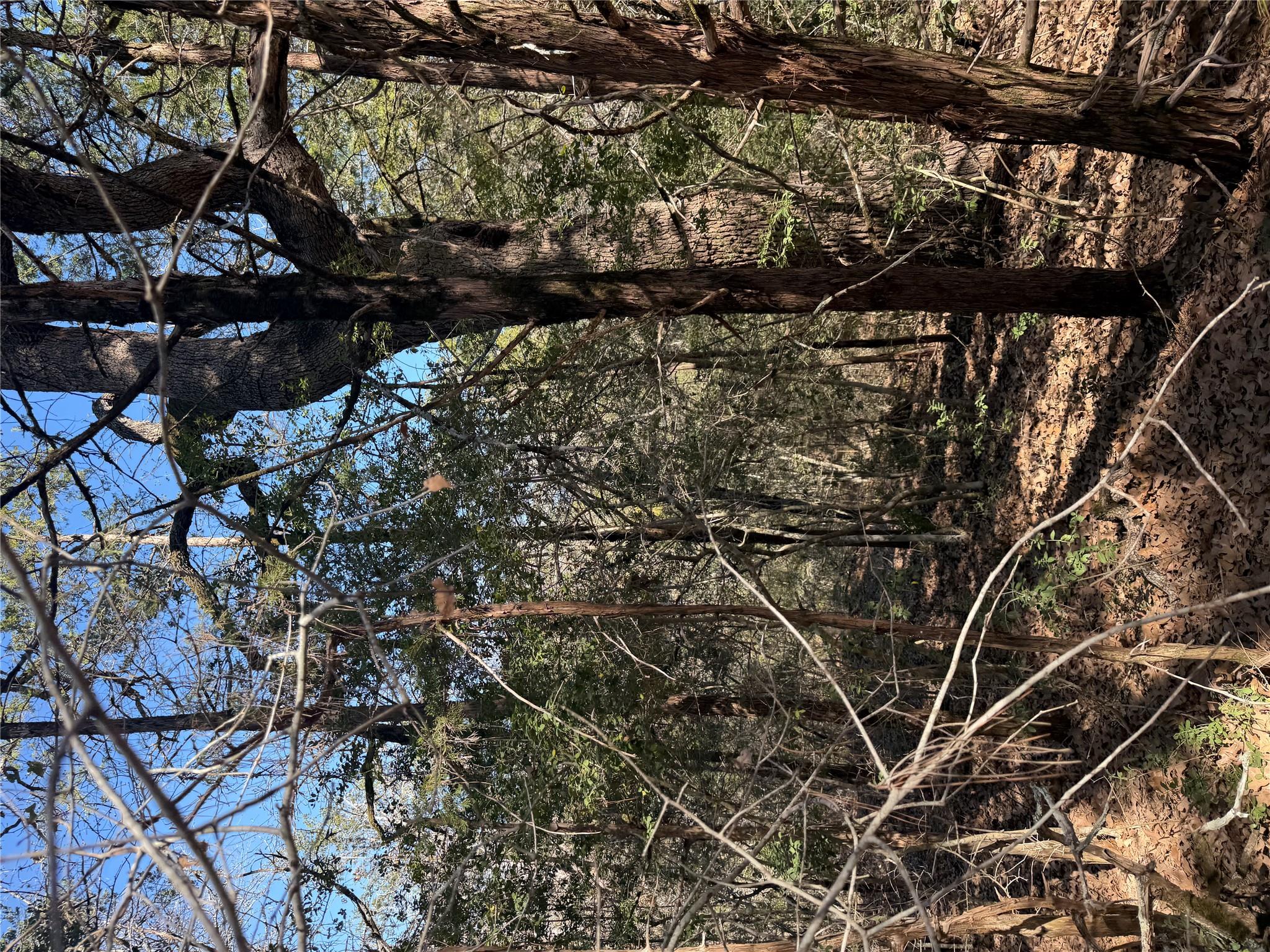 Lot 321 Keneka Ln, Bastrop, TX 78602