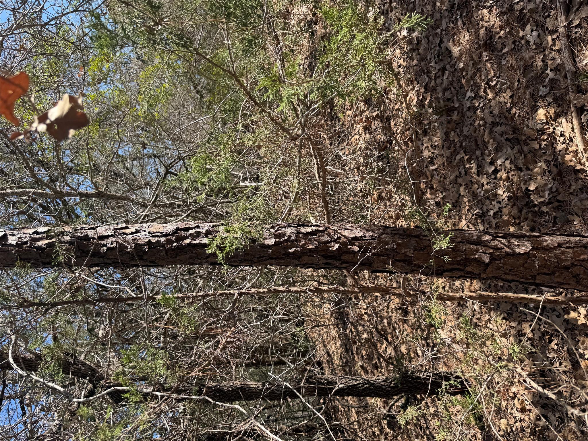 Lot 321 Keneka Ln, Bastrop, TX 78602