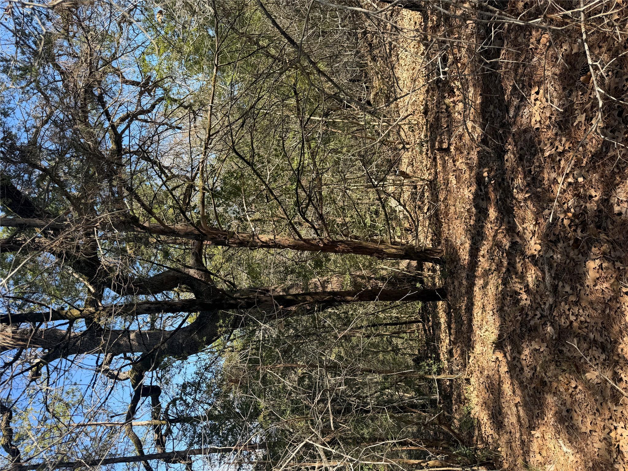 Lot 321 Keneka Ln, Bastrop, TX 78602