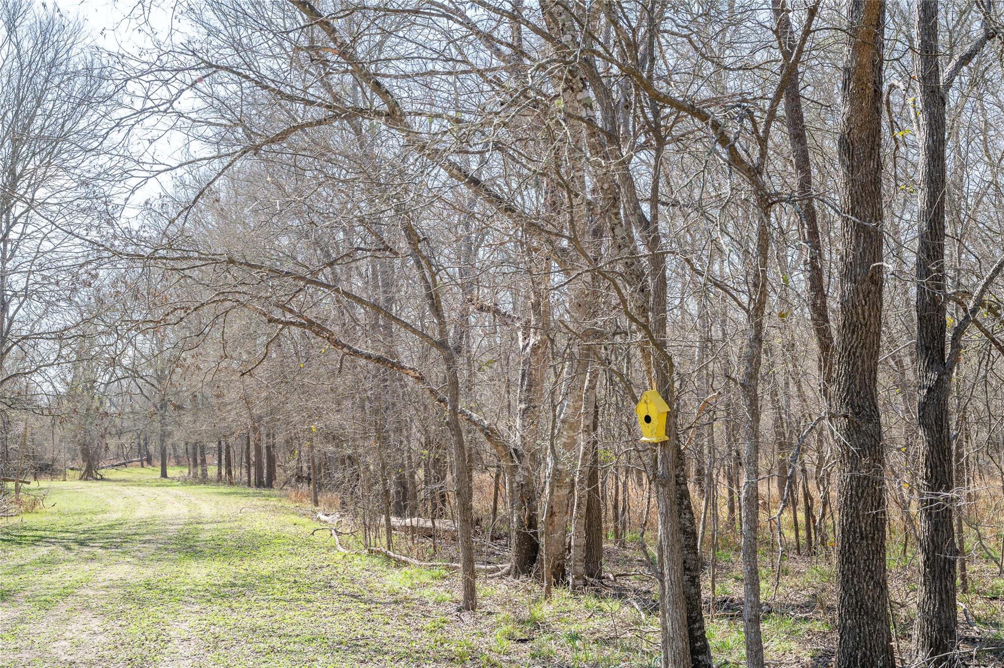 5672 Fm 86, Luling, TX 78648