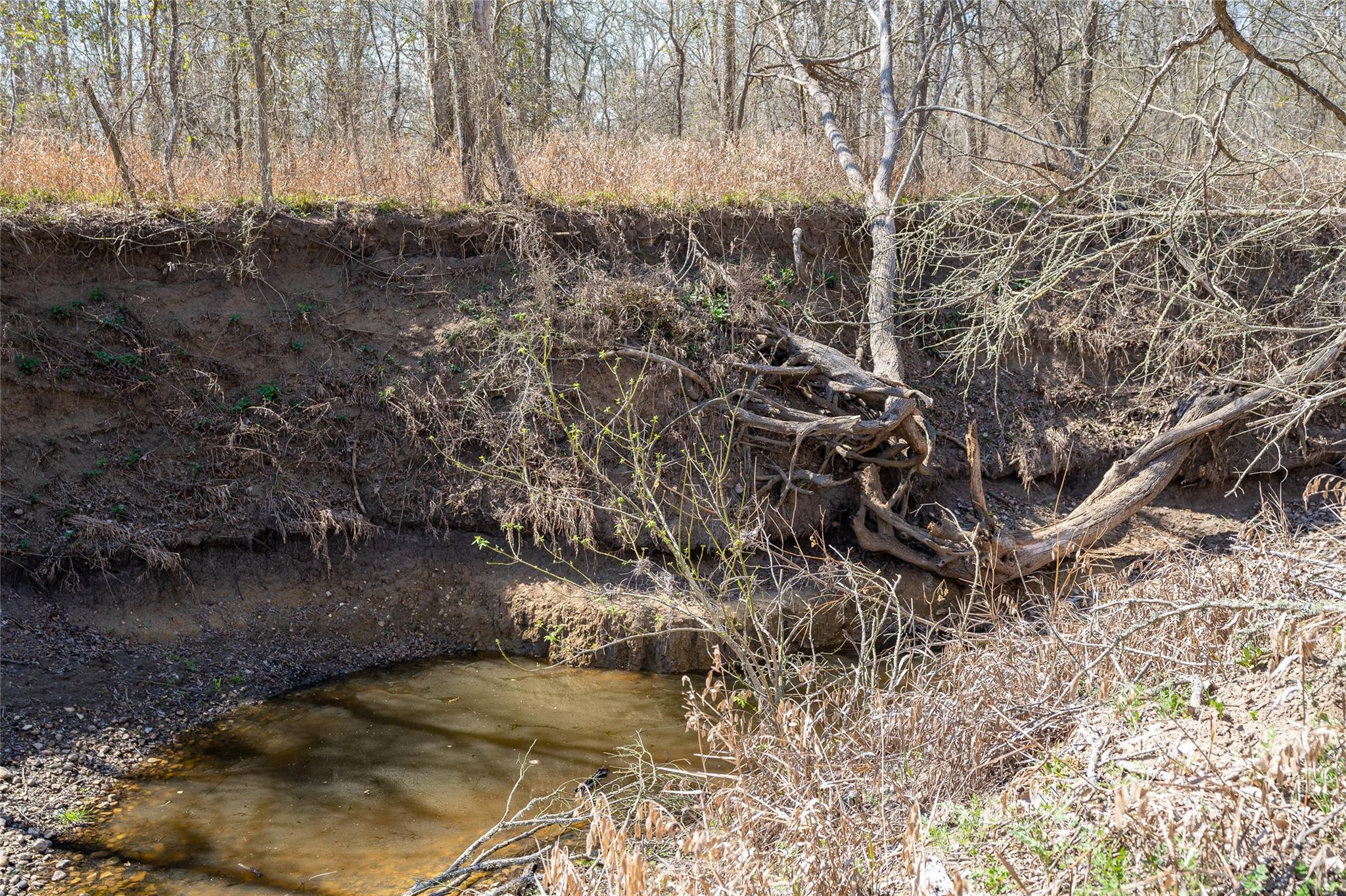 5672 Fm 86, Luling, TX 78648