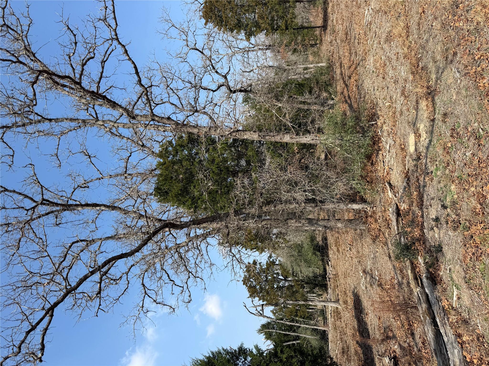 TBD N County Line Rd, Elgin, TX 78621