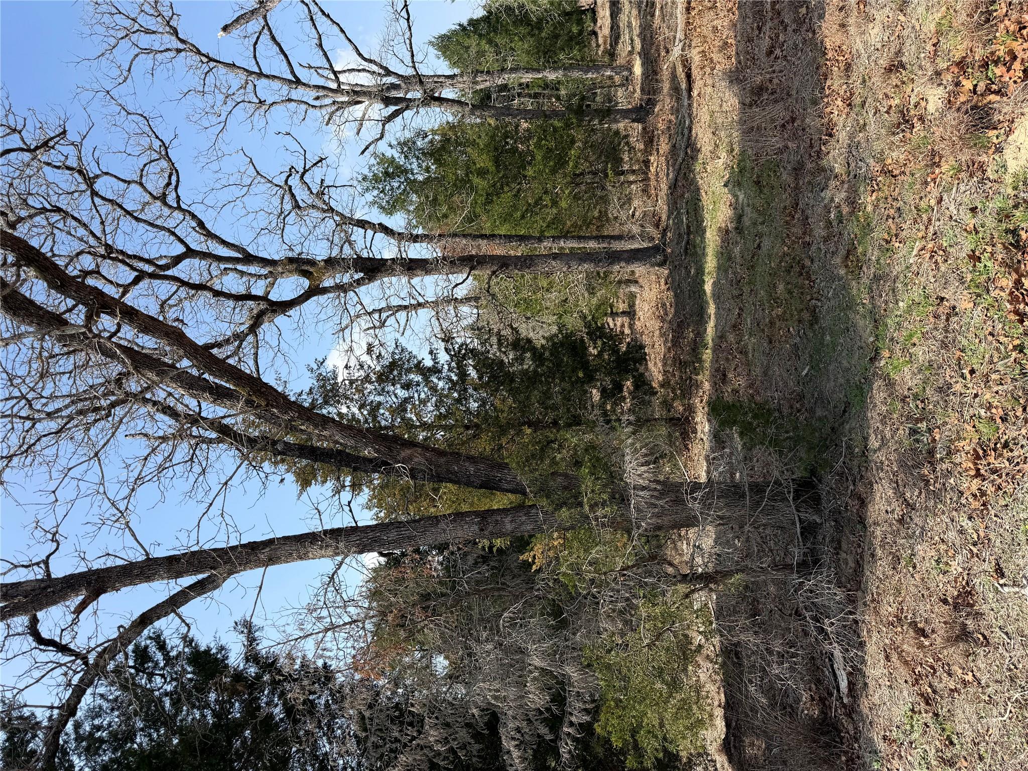 TBD N County Line Rd, Elgin, TX 78621