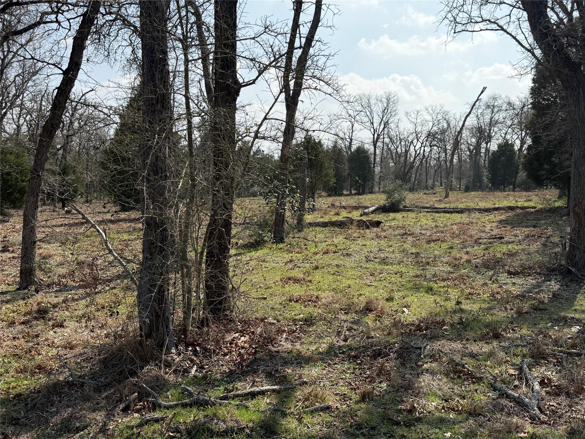 TBD N County Line Rd, Elgin, TX 78621