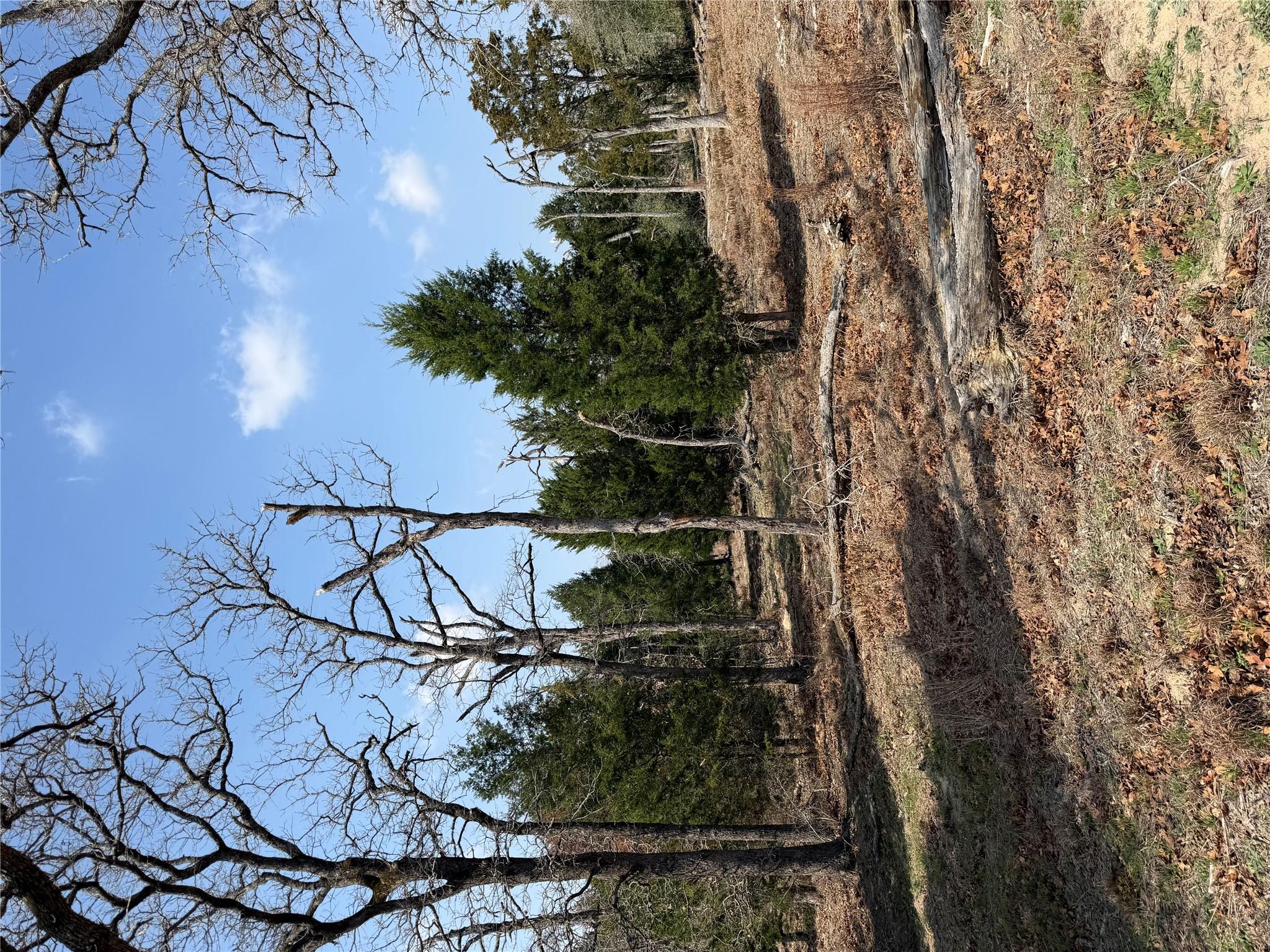 TBD N County Line Rd, Elgin, TX 78621