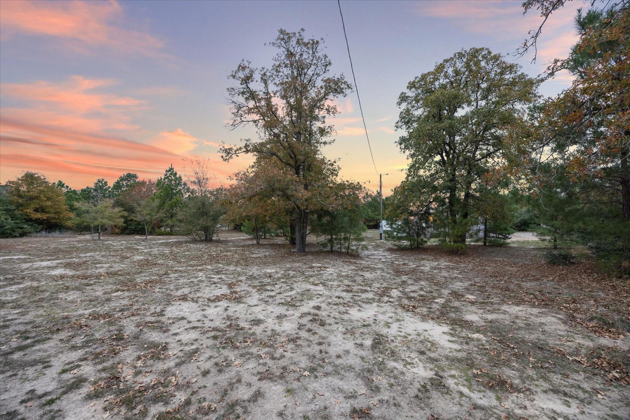 364 Ponderosa Loop, Paige, TX 78659