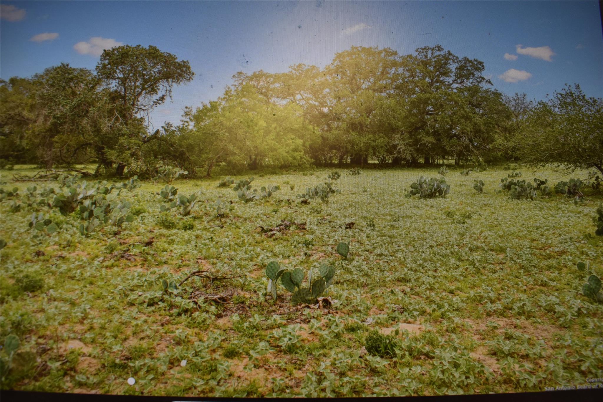 5030 Fm 2504, Poteet, TX 78065