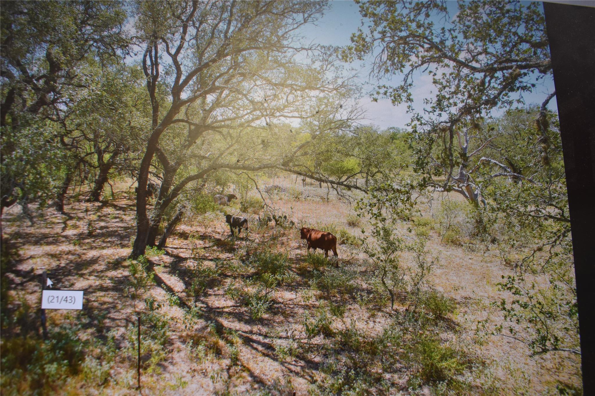 5030 Fm 2504, Poteet, TX 78065