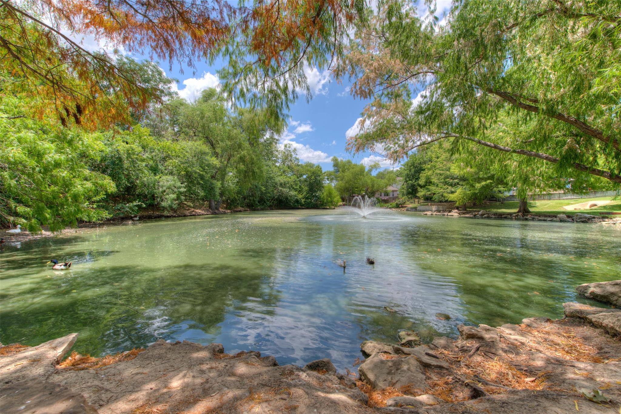 2920 Lynnbrook Dr, Austin, TX 78748