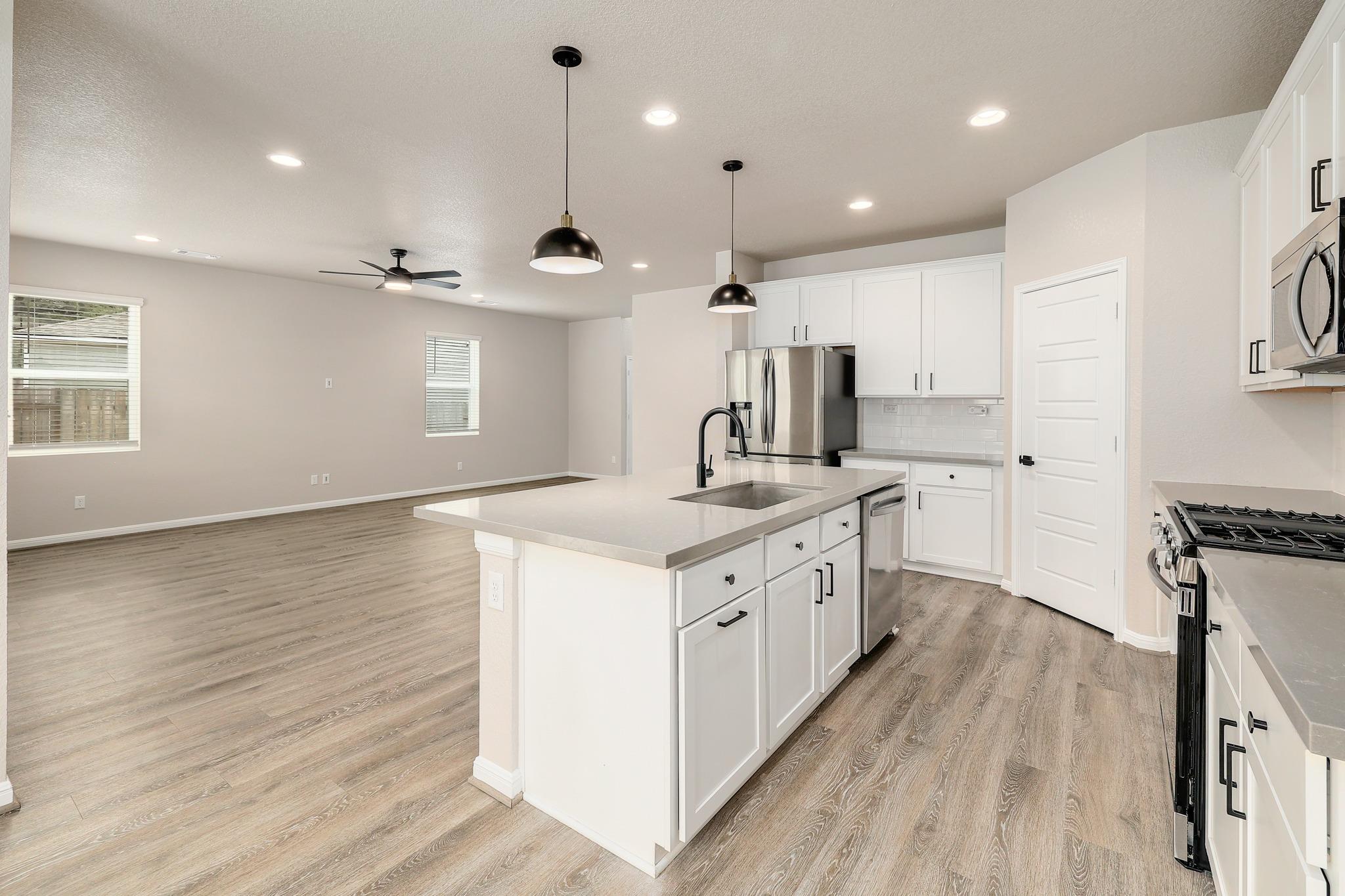 208 Fluttermill Loop, Liberty Hill, TX 78642