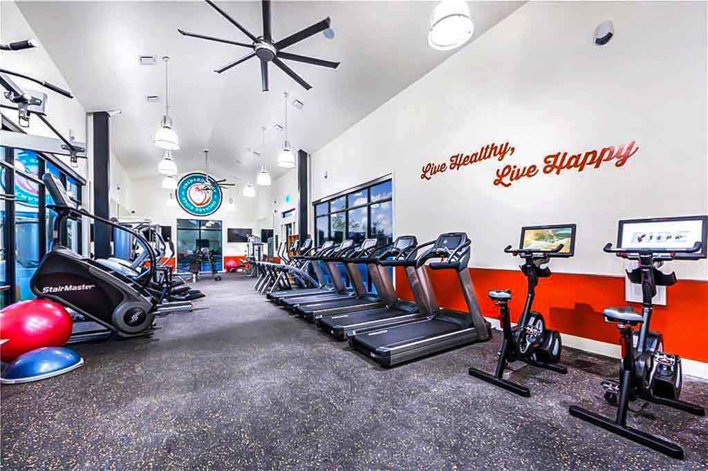 208 Fluttermill Loop, Liberty Hill, TX 78642