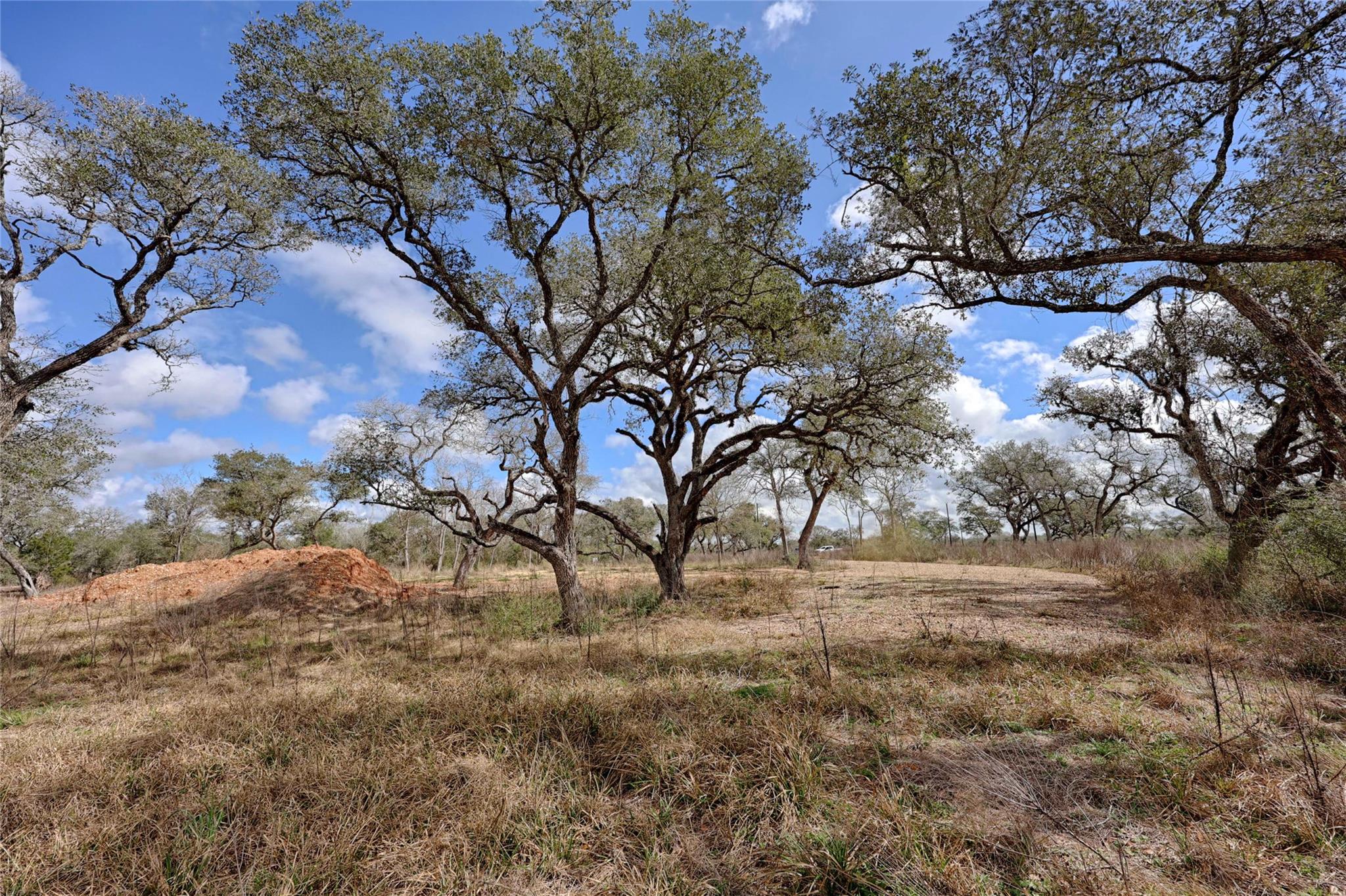 1178 Specklebelly Ln, Columbus, TX 78934