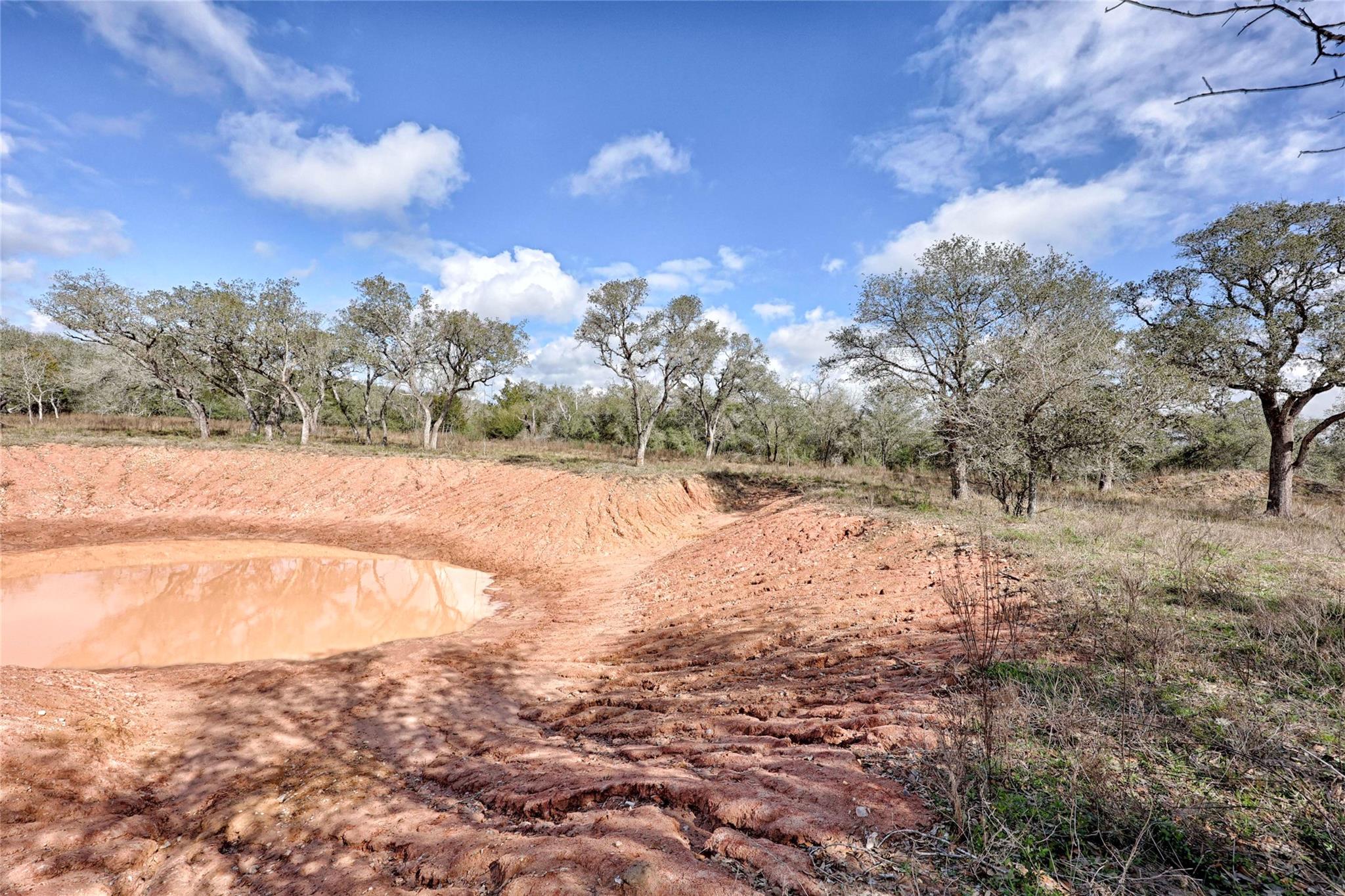 1178 Specklebelly Ln, Columbus, TX 78934