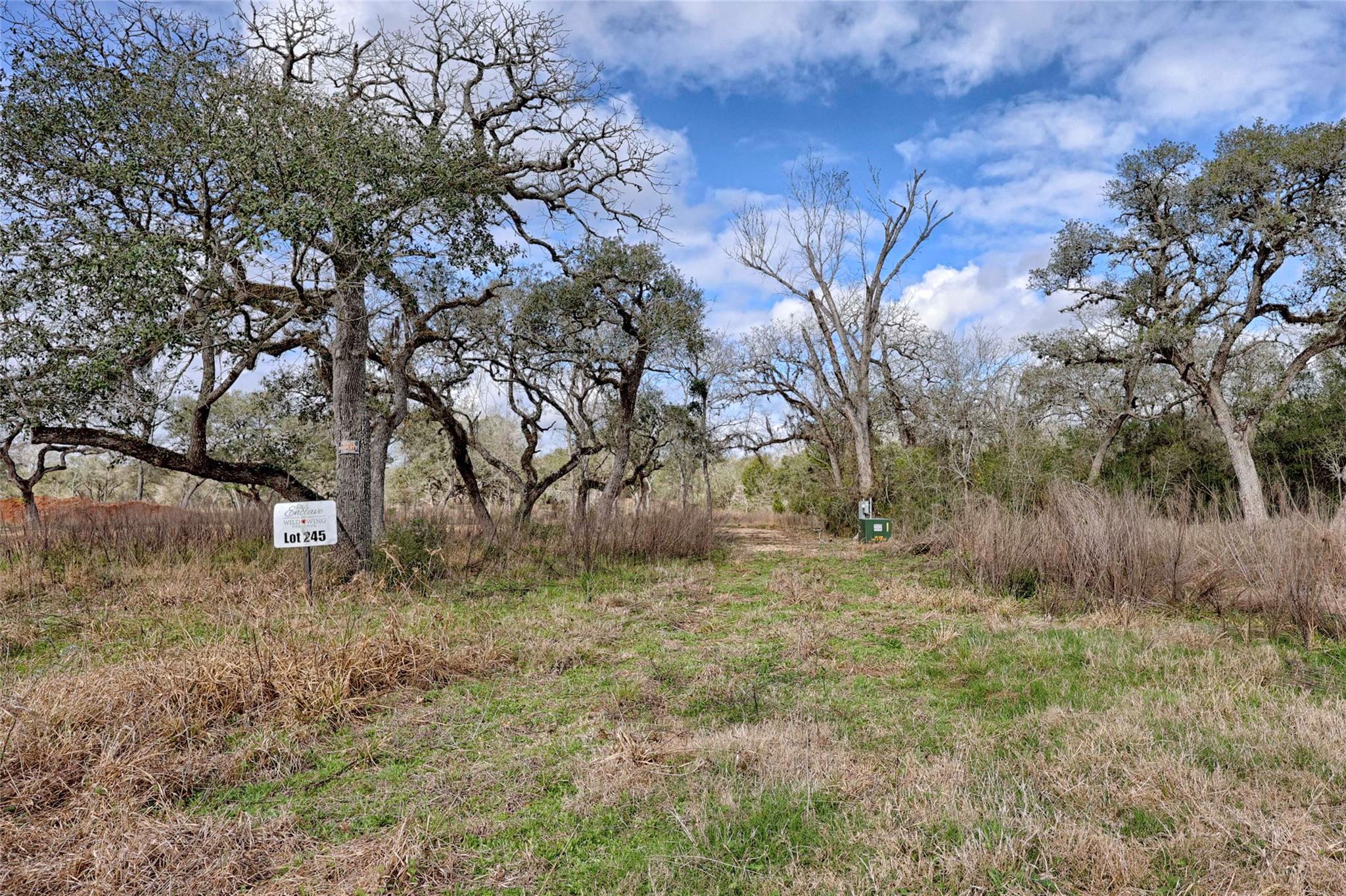 1178 Specklebelly Ln, Columbus, TX 78934