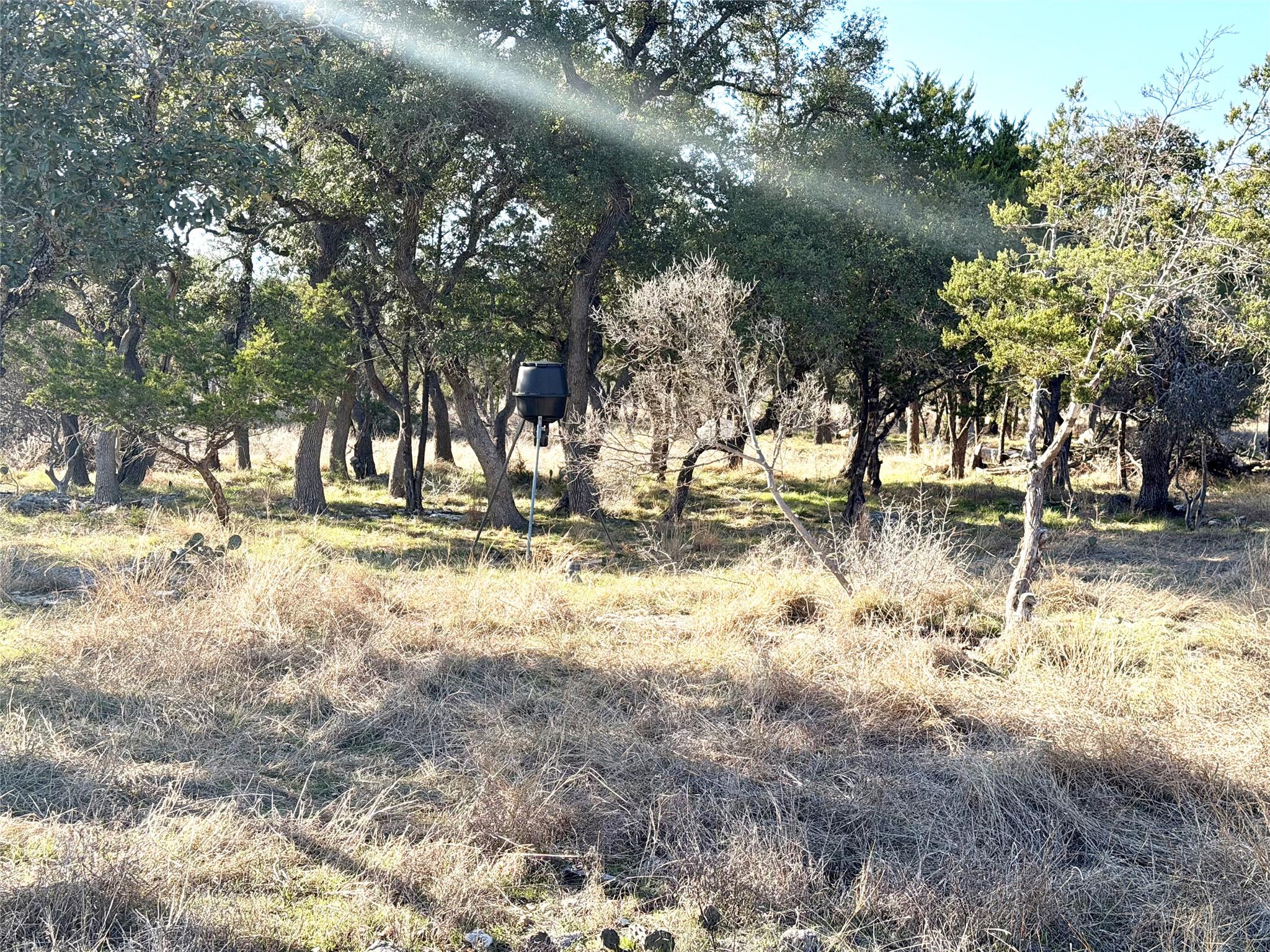 1360 County Road 233 Rd, Florence, TX 76527