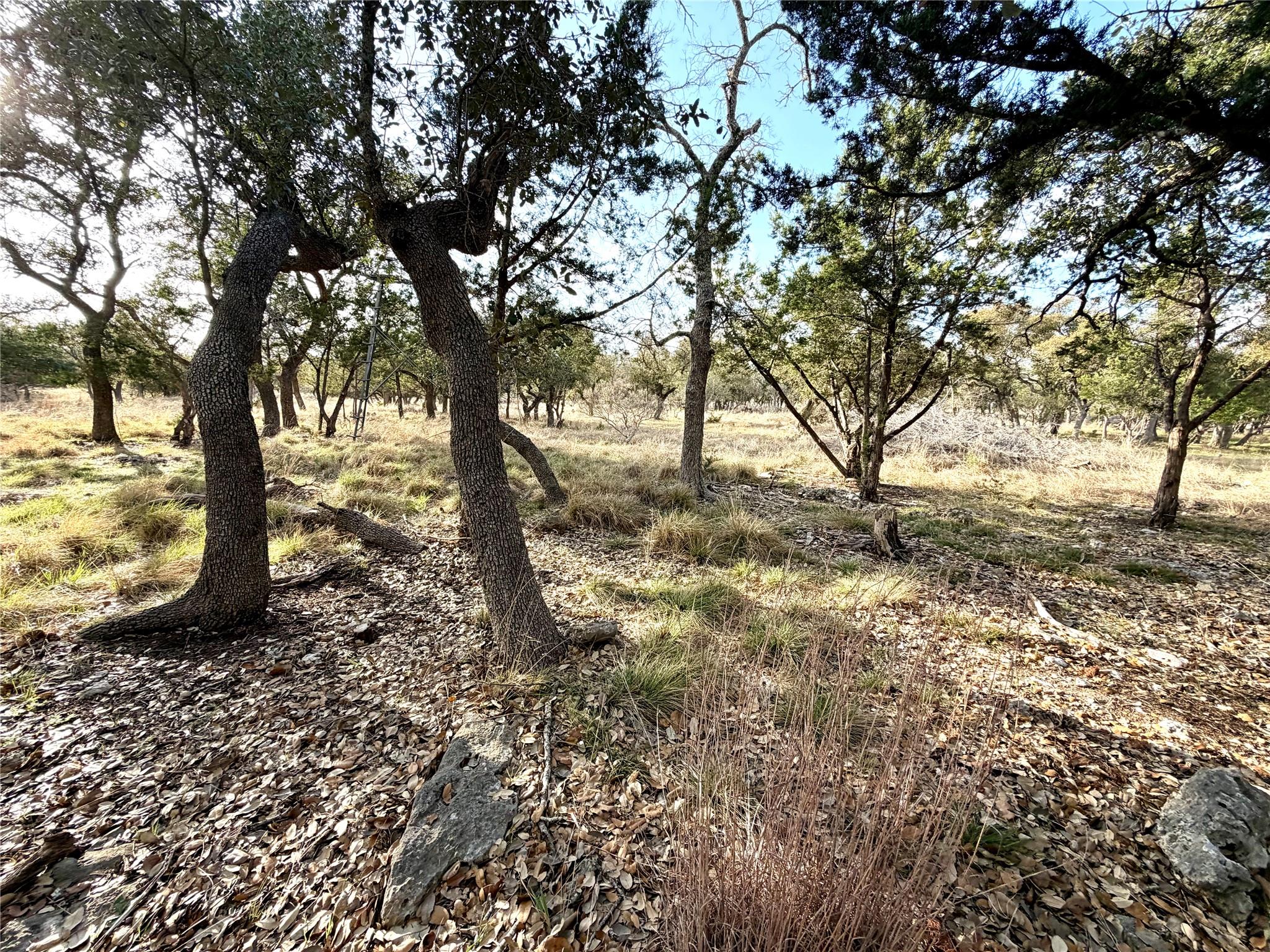 1360 County Road 233 Rd, Florence, TX 76527