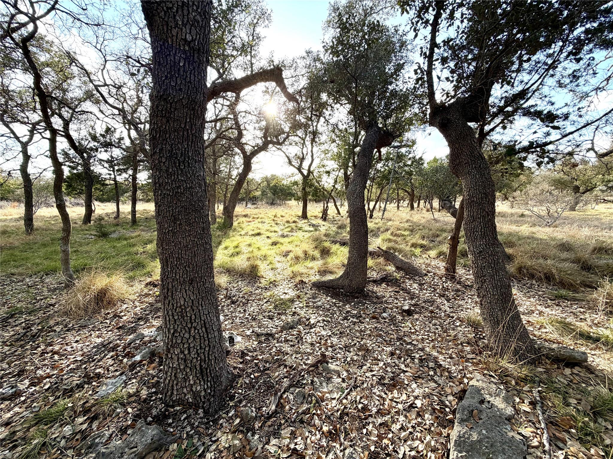 1360 County Road 233 Rd, Florence, TX 76527