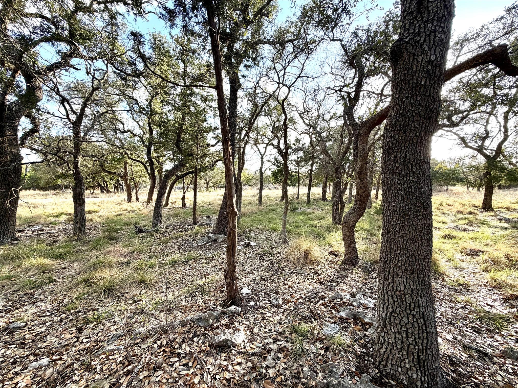 1360 County Road 233 Rd, Florence, TX 76527