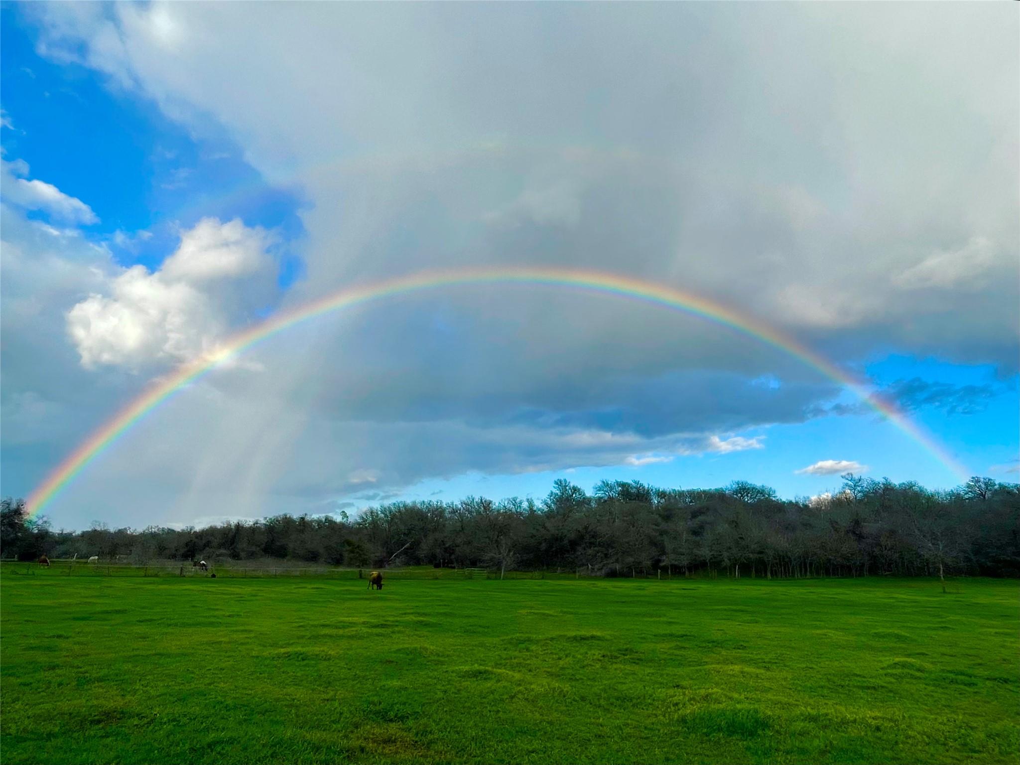 2646 Fm 1704, Elgin, TX 78621