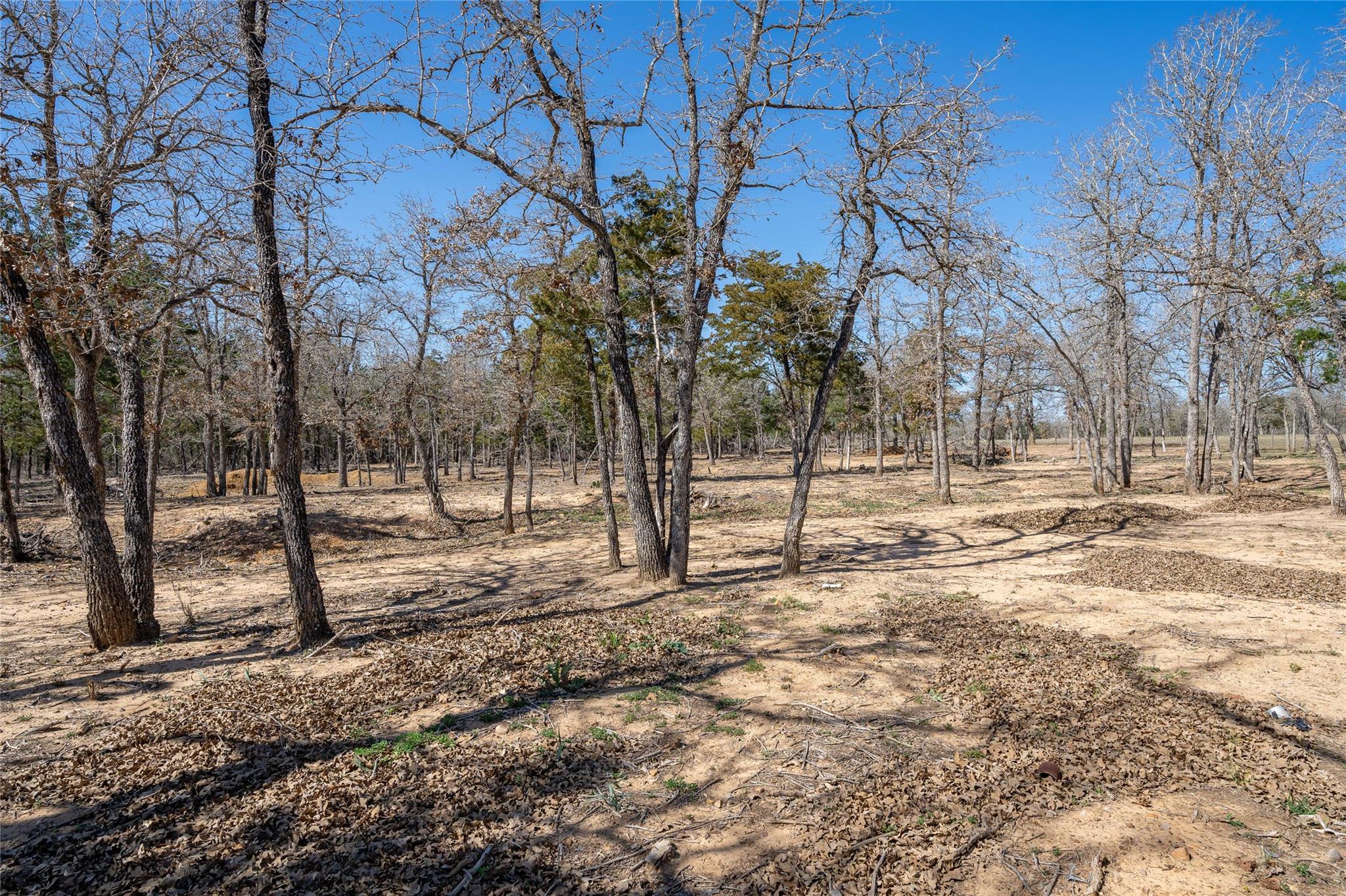 661 Hidden Oak Rd, Lockhart, TX 78616