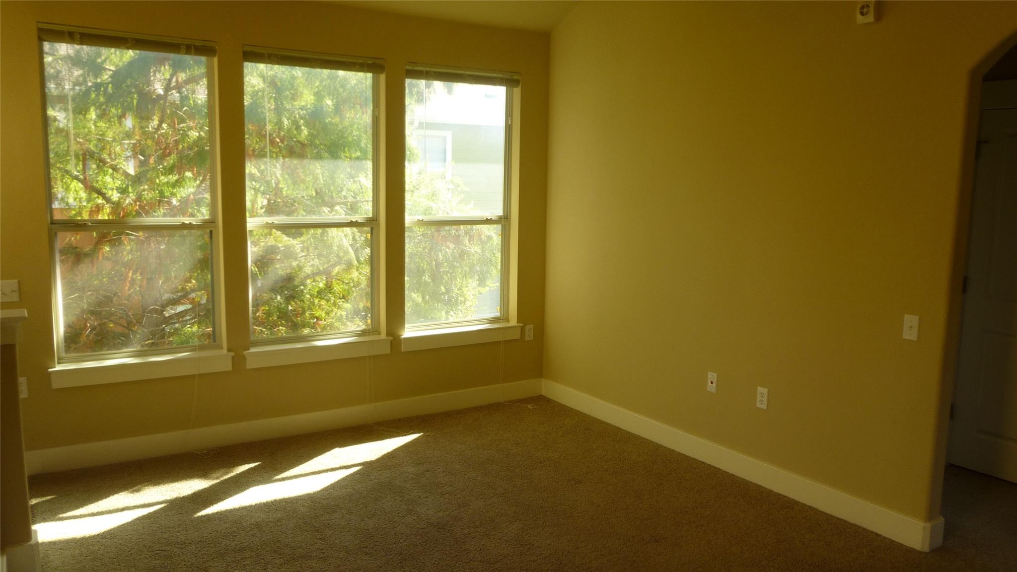 1601 Miriam Ave # 313, Austin, TX 78702