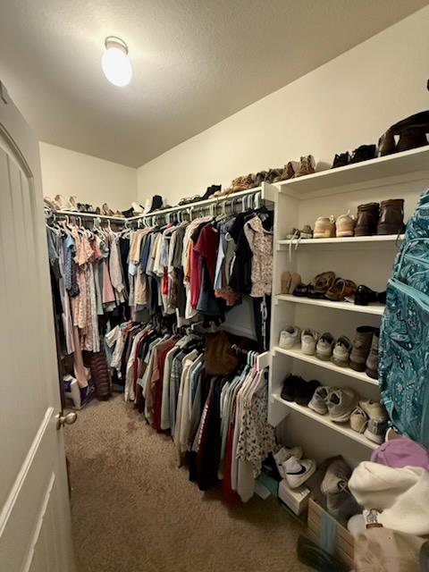 351 Wincliff Dr, Buda, TX 78610