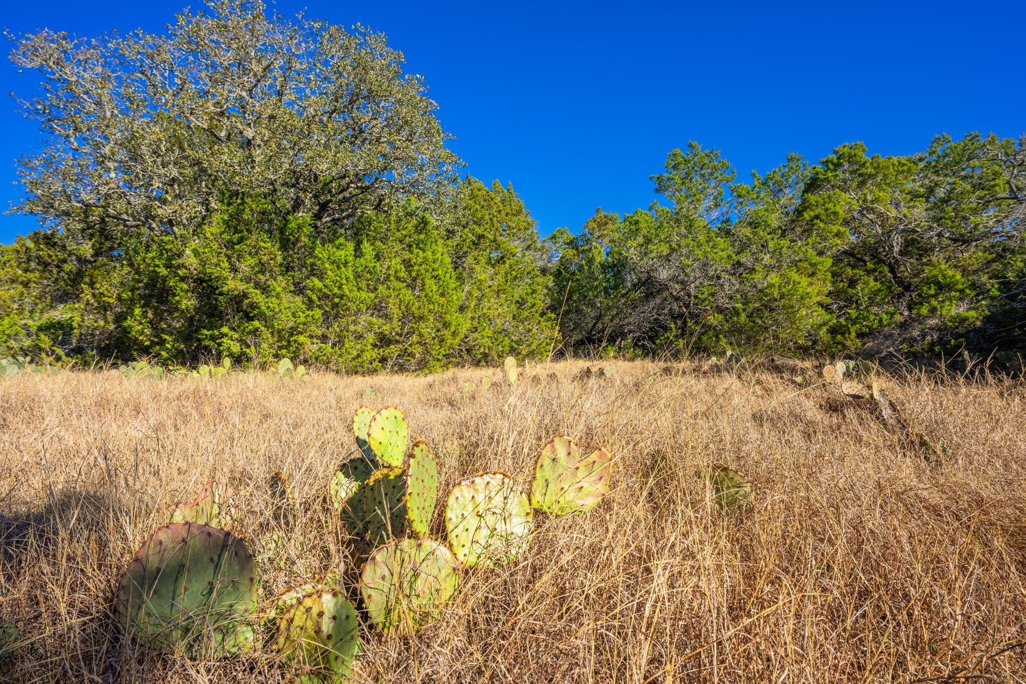 4772 County Road 340, Burnet, TX 76905