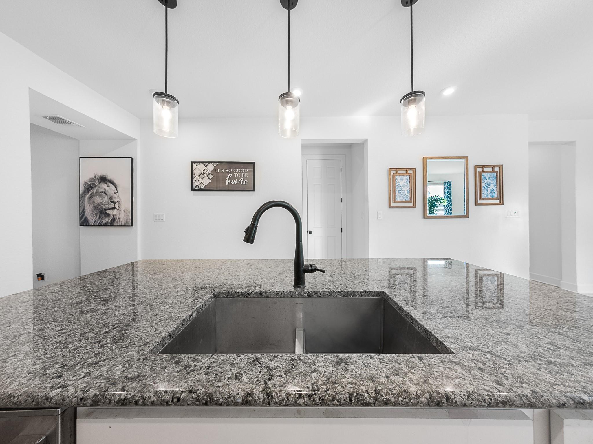 20811 Phebe Foster St, Manor, TX 78653