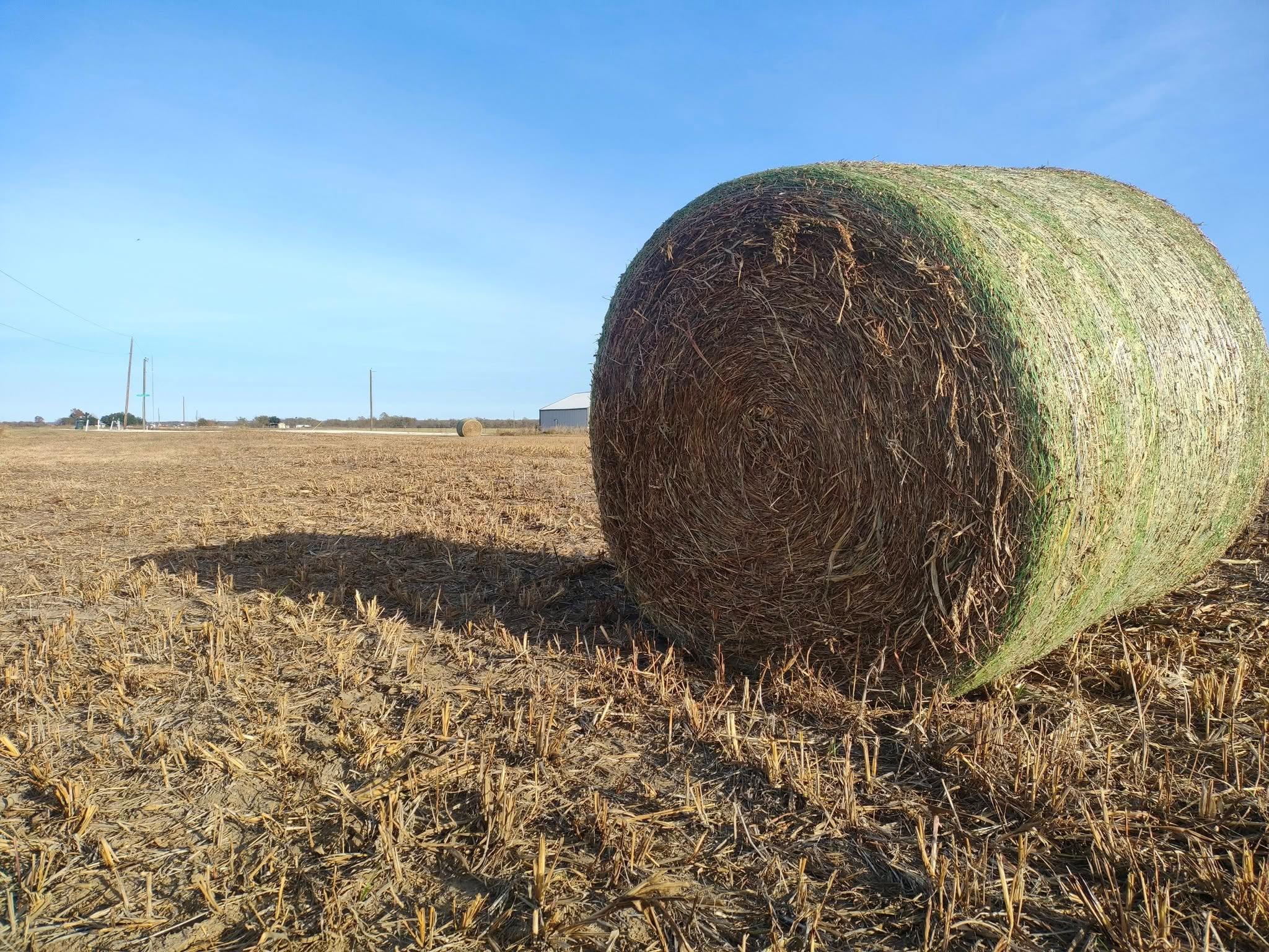 3001 Dolphin Dr, Coupland, TX 78615