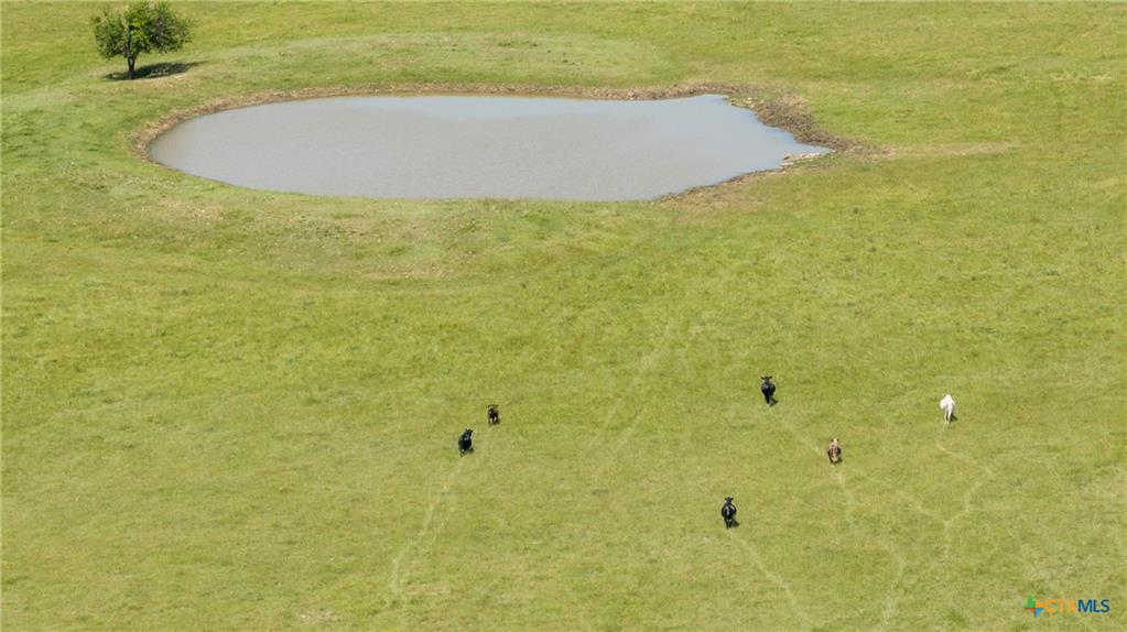 17 Acres Smith Dairy Rd, Belton, TX 76513