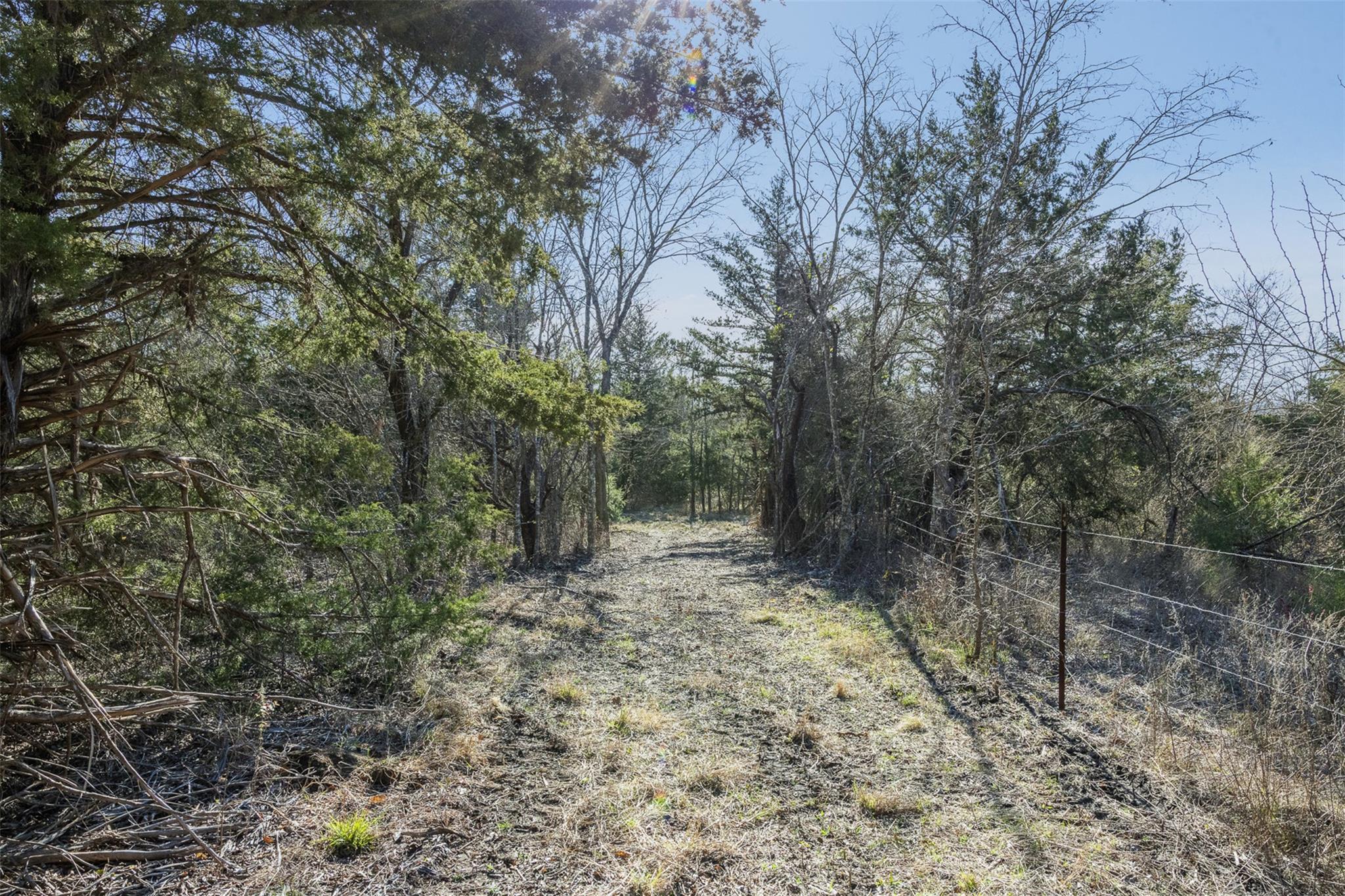 Tract 4 County Road 386, Groesbeck, TX 76642