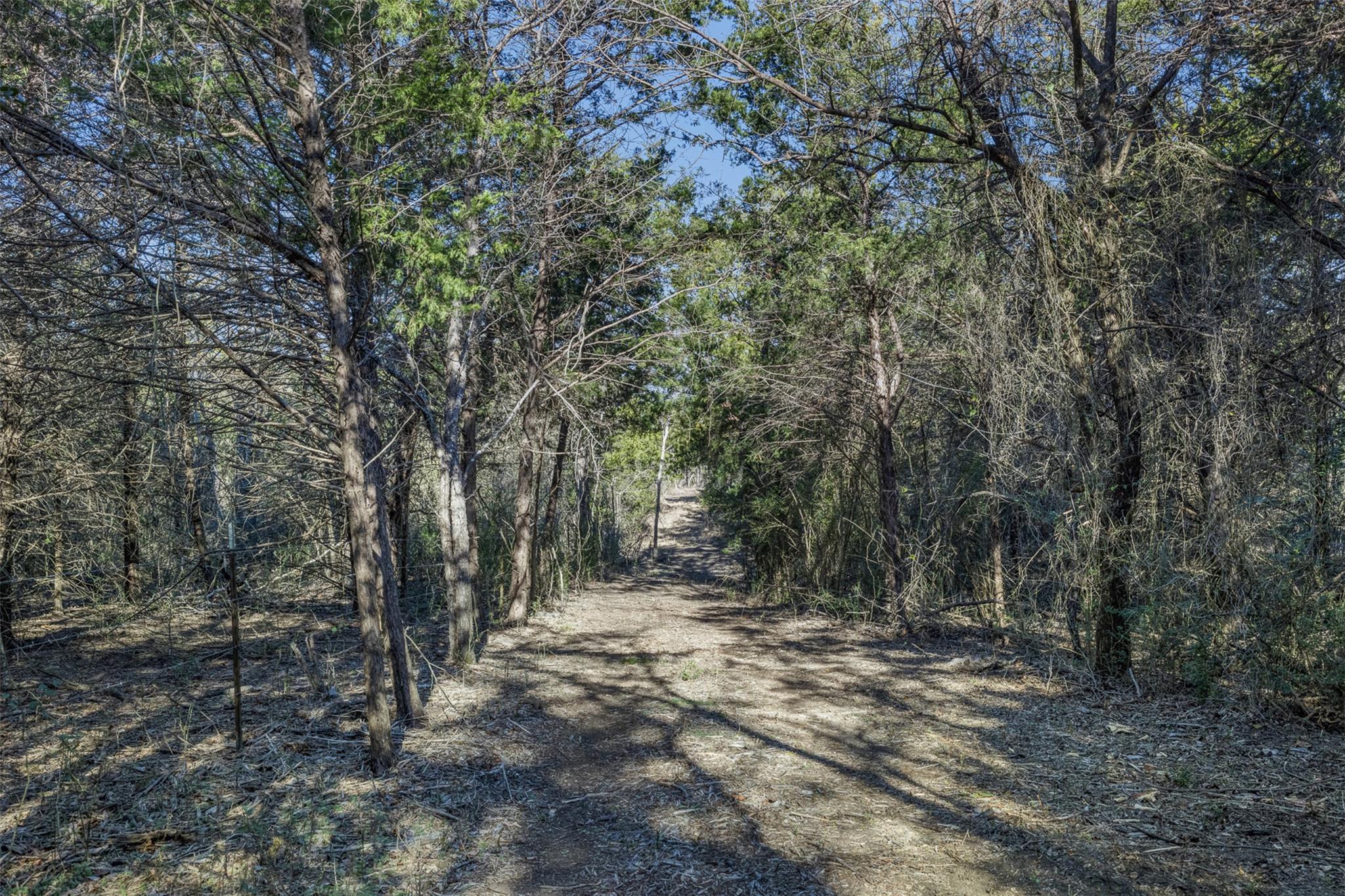 Tract 4 County Road 386, Groesbeck, TX 76642