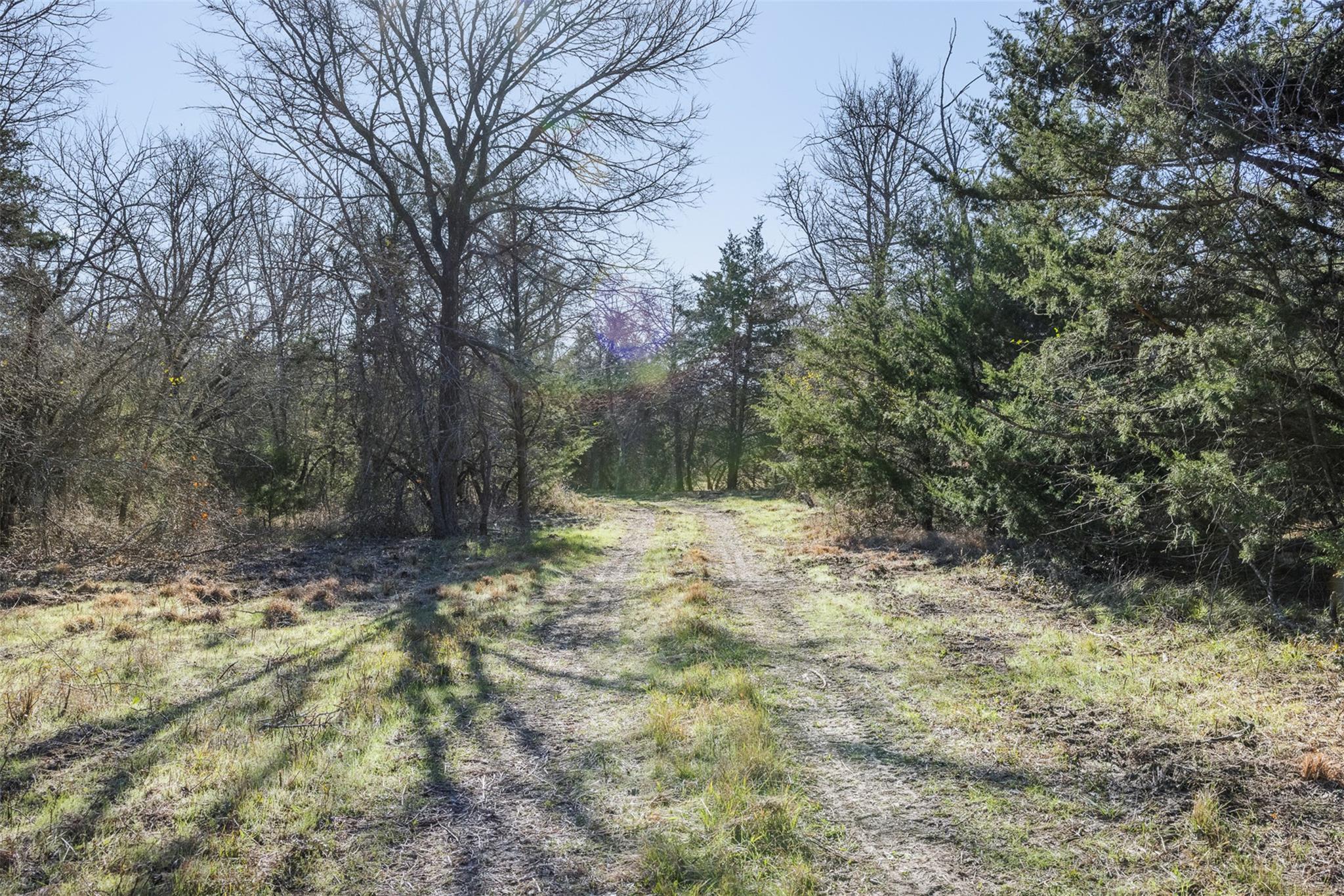 Tract 2 County Road 386, Groesbeck, TX 76642