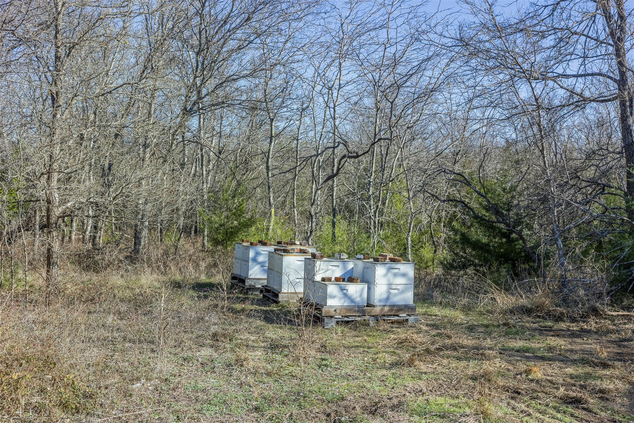 Tract 2 County Road 386, Groesbeck, TX 76642