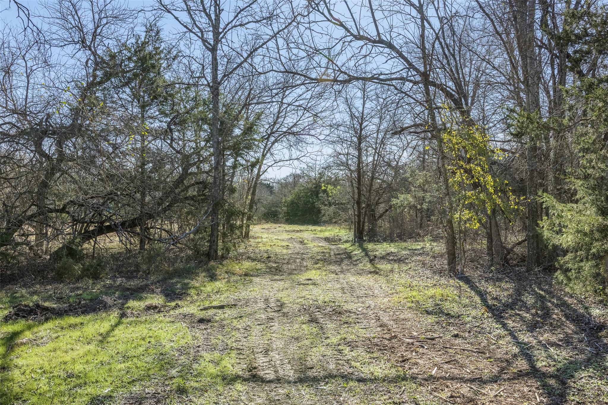 Tract 2 County Road 386, Groesbeck, TX 76642
