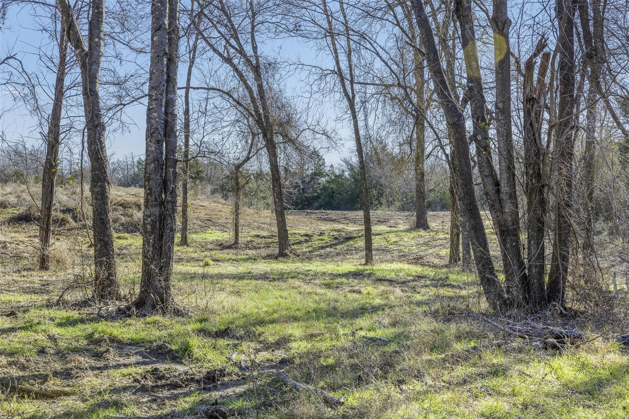 Tract 2 County Road 386, Groesbeck, TX 76642