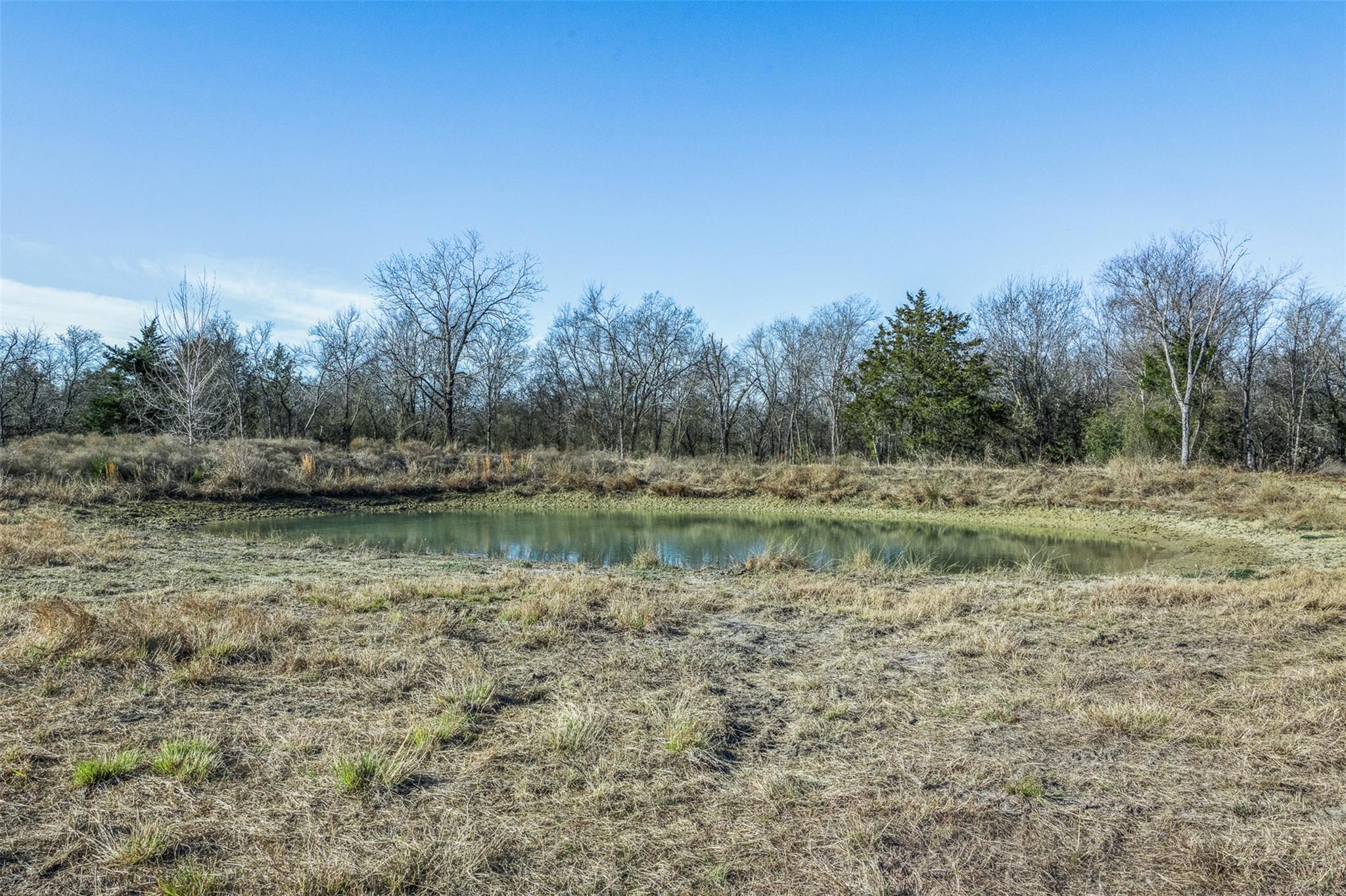 Tract 2 County Road 386, Groesbeck, TX 76642