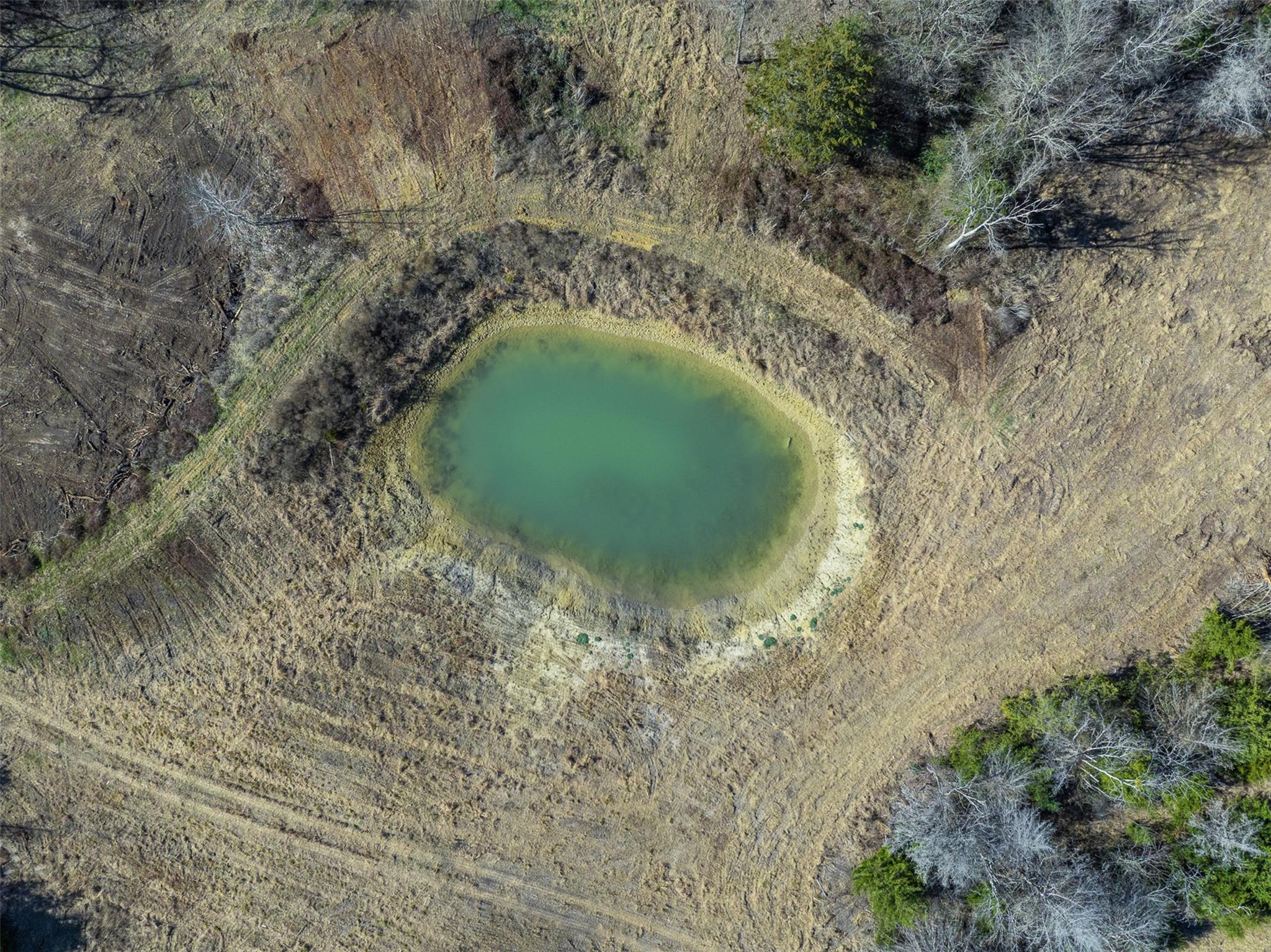 Tract 2 County Road 386, Groesbeck, TX 76642