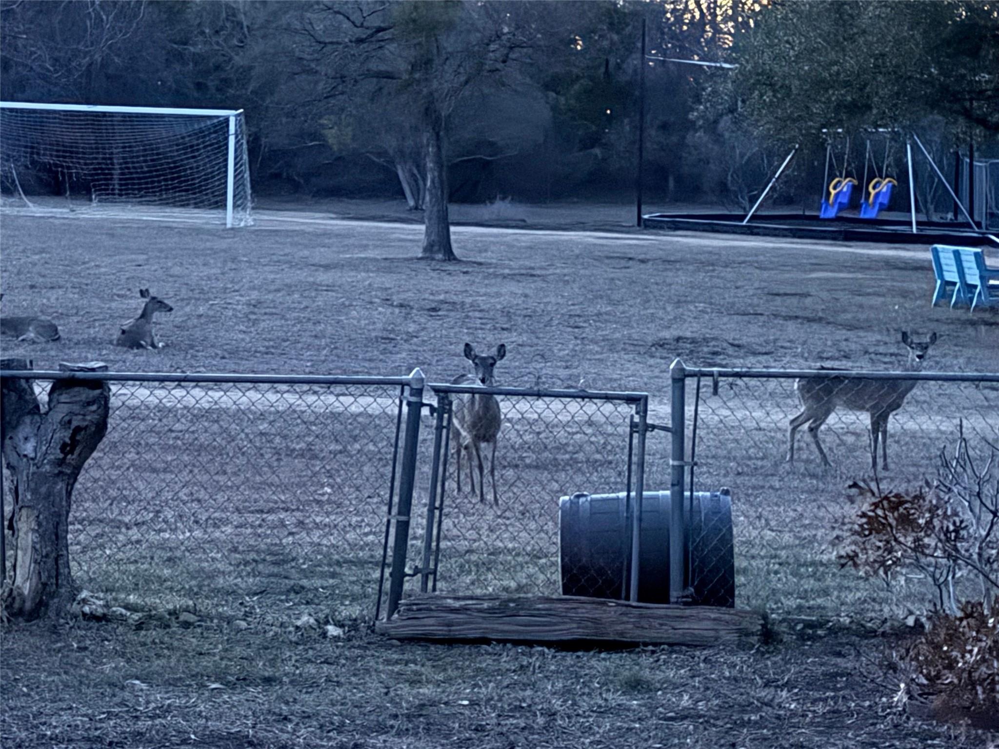 11712 Natrona Dr, Austin, TX 78759