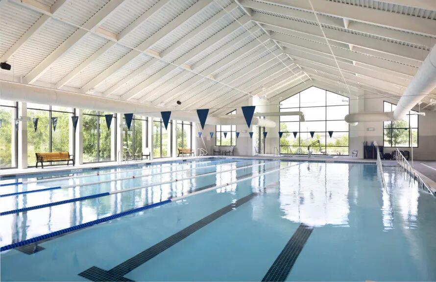 117 Beautybush Trl, Georgetown, TX 78633