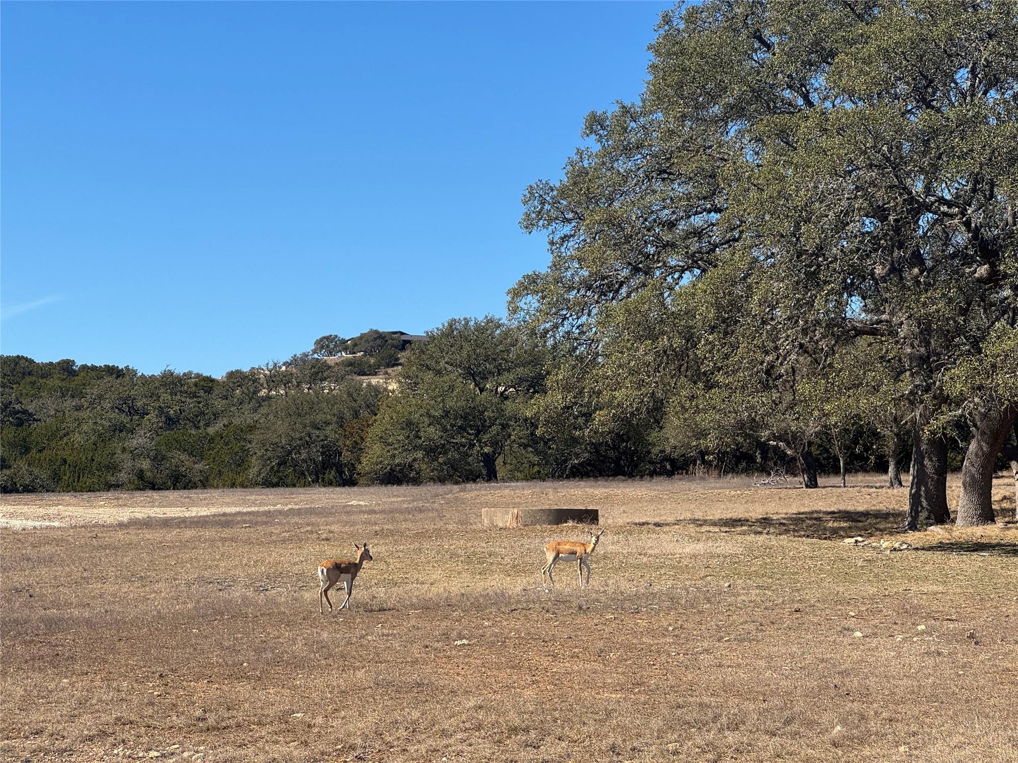 0 E Majestic Creek Dr # Lot 10, Blanco, TX 78606