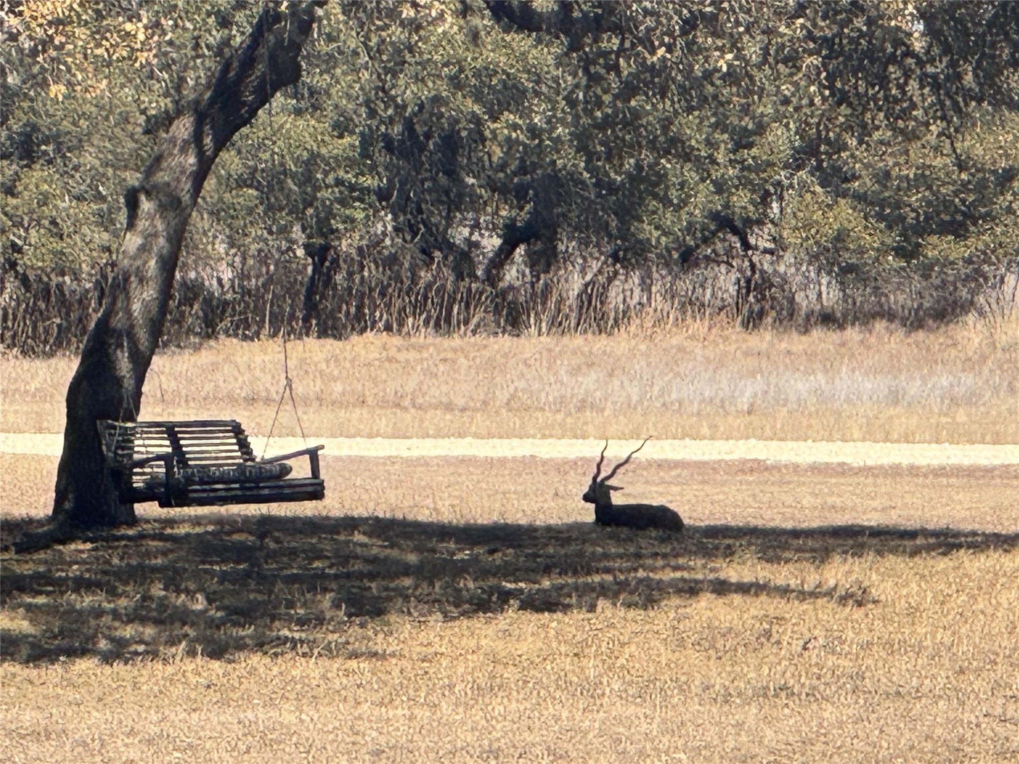 0 E Majestic Creek Dr # Lot 10, Blanco, TX 78606